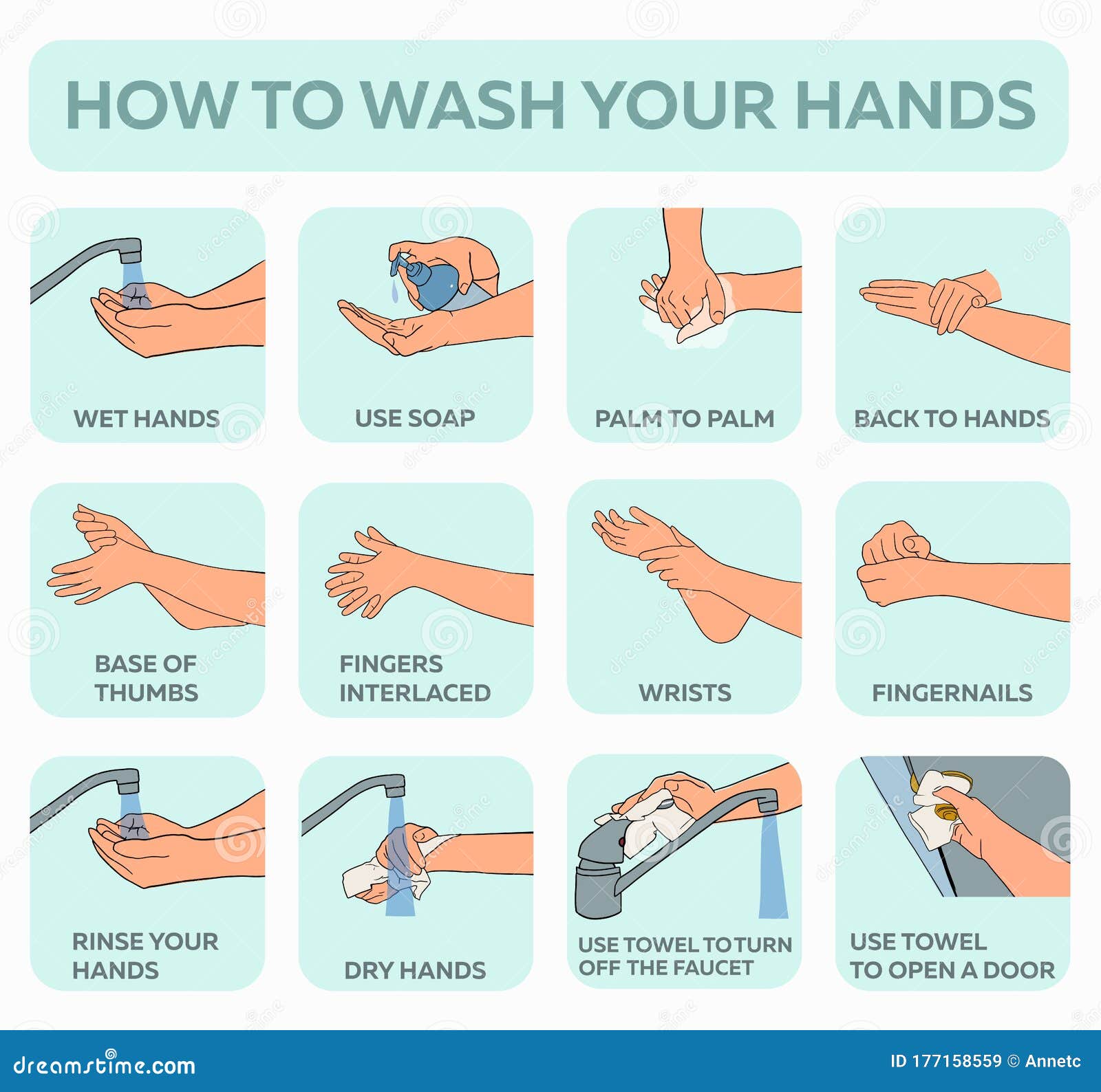 6 Step Hand Hygiene