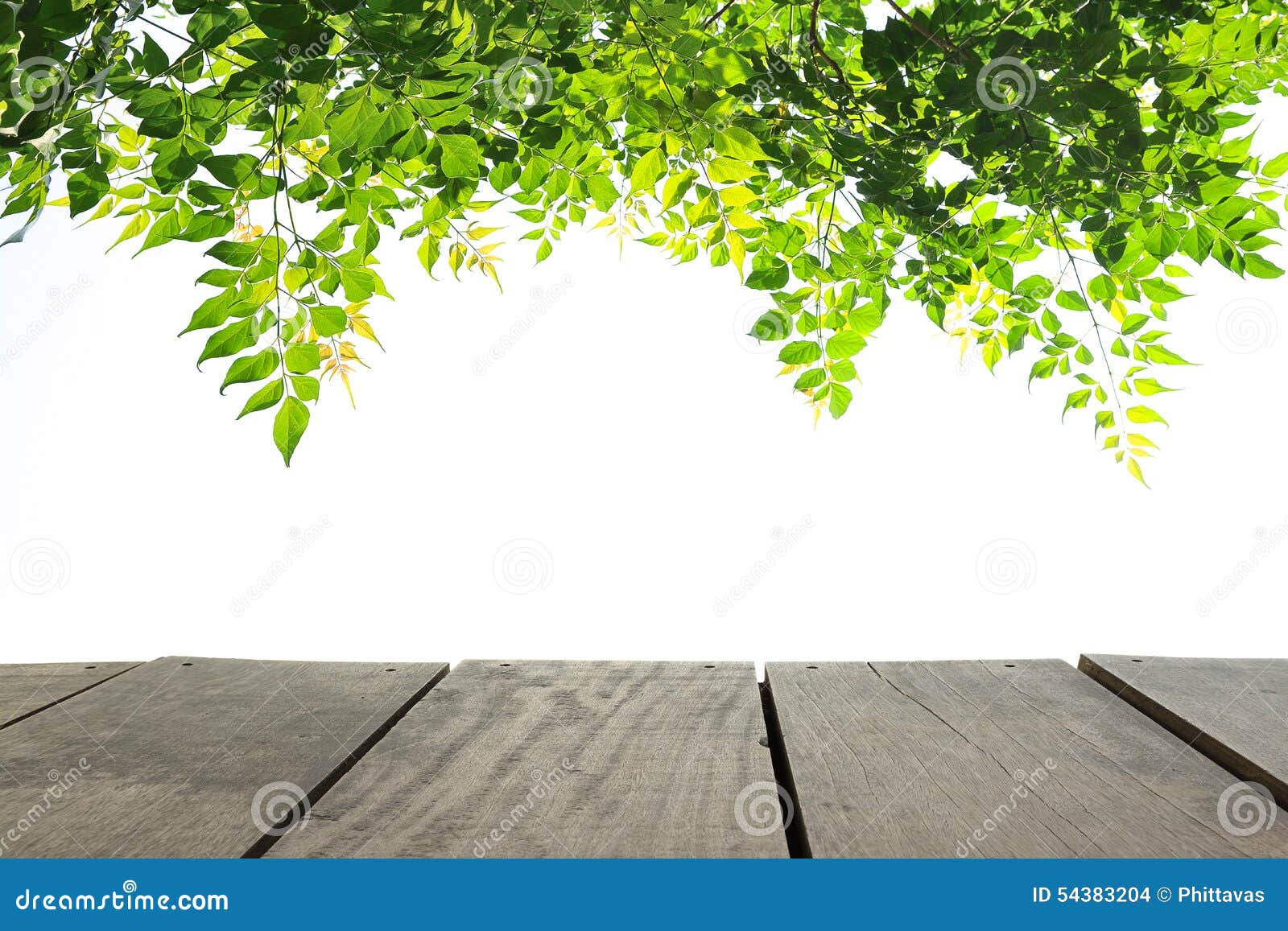 Perspective Terrace Wood and Green Leave for Usage Background Stock