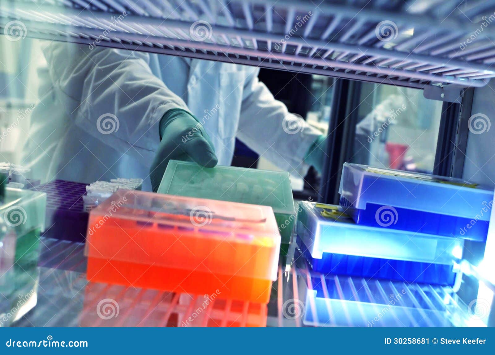 inside view of a medical refrigeration unit