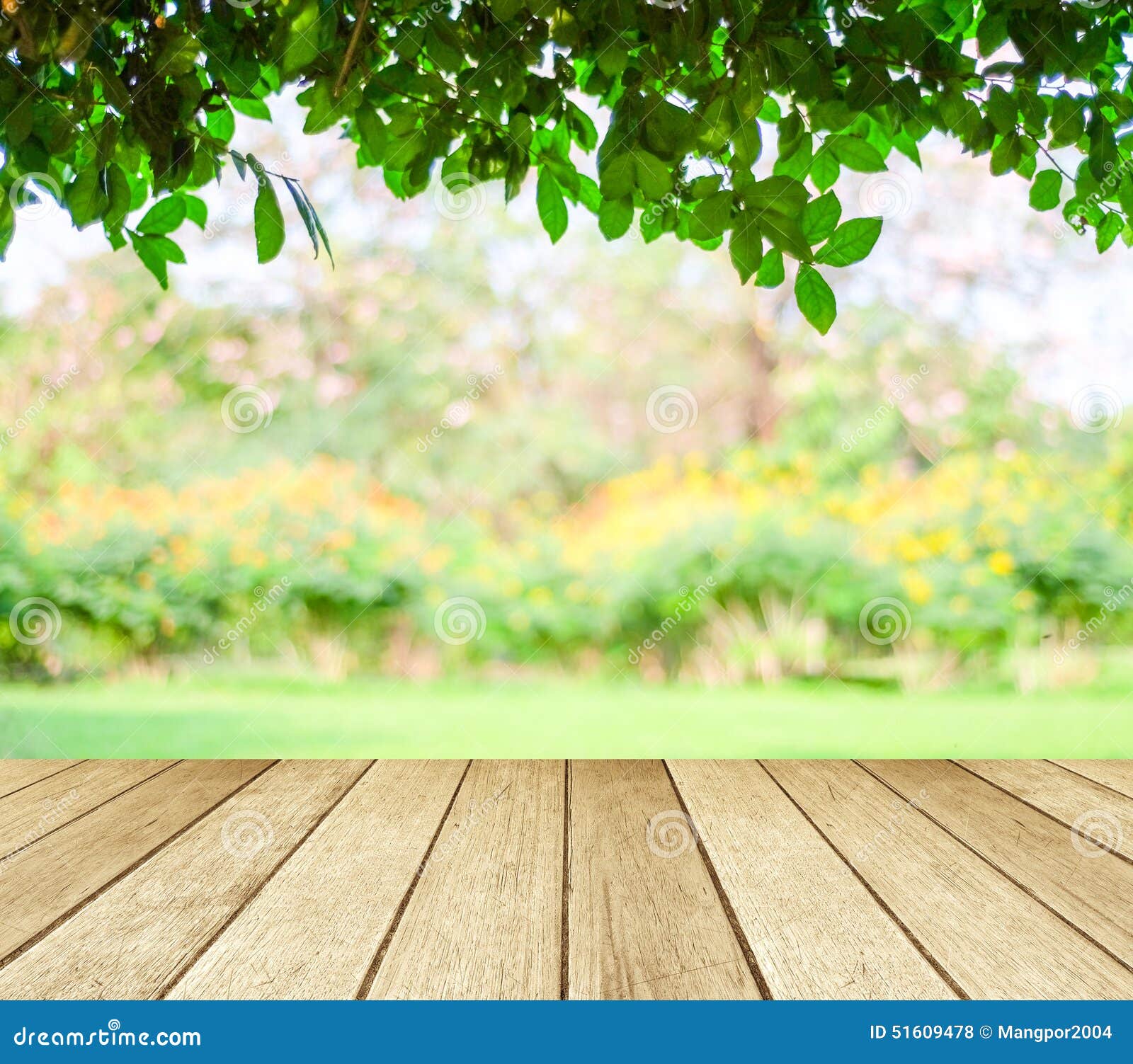 perspective wood over blur trees bokeh background spring summer season 51609478