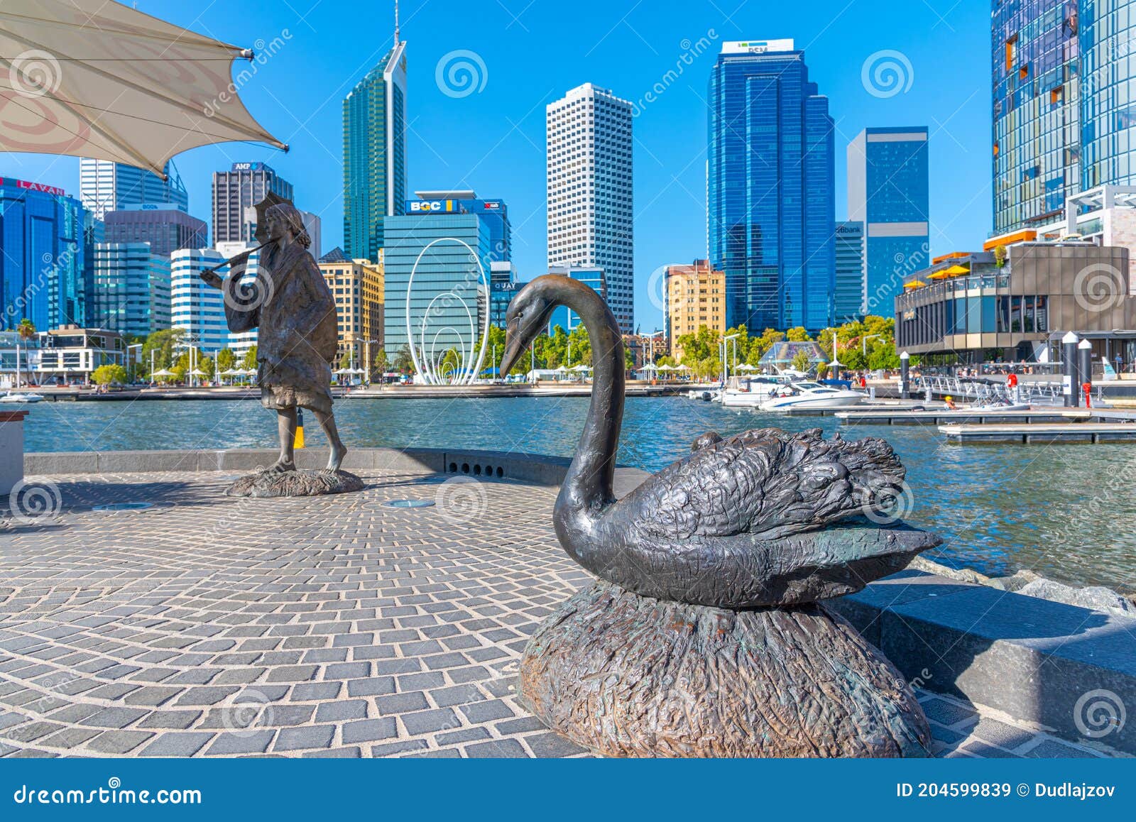PERTH, AUSTRALIA, JANUARY 18, 2020 Statue of Black Swan and Bessie