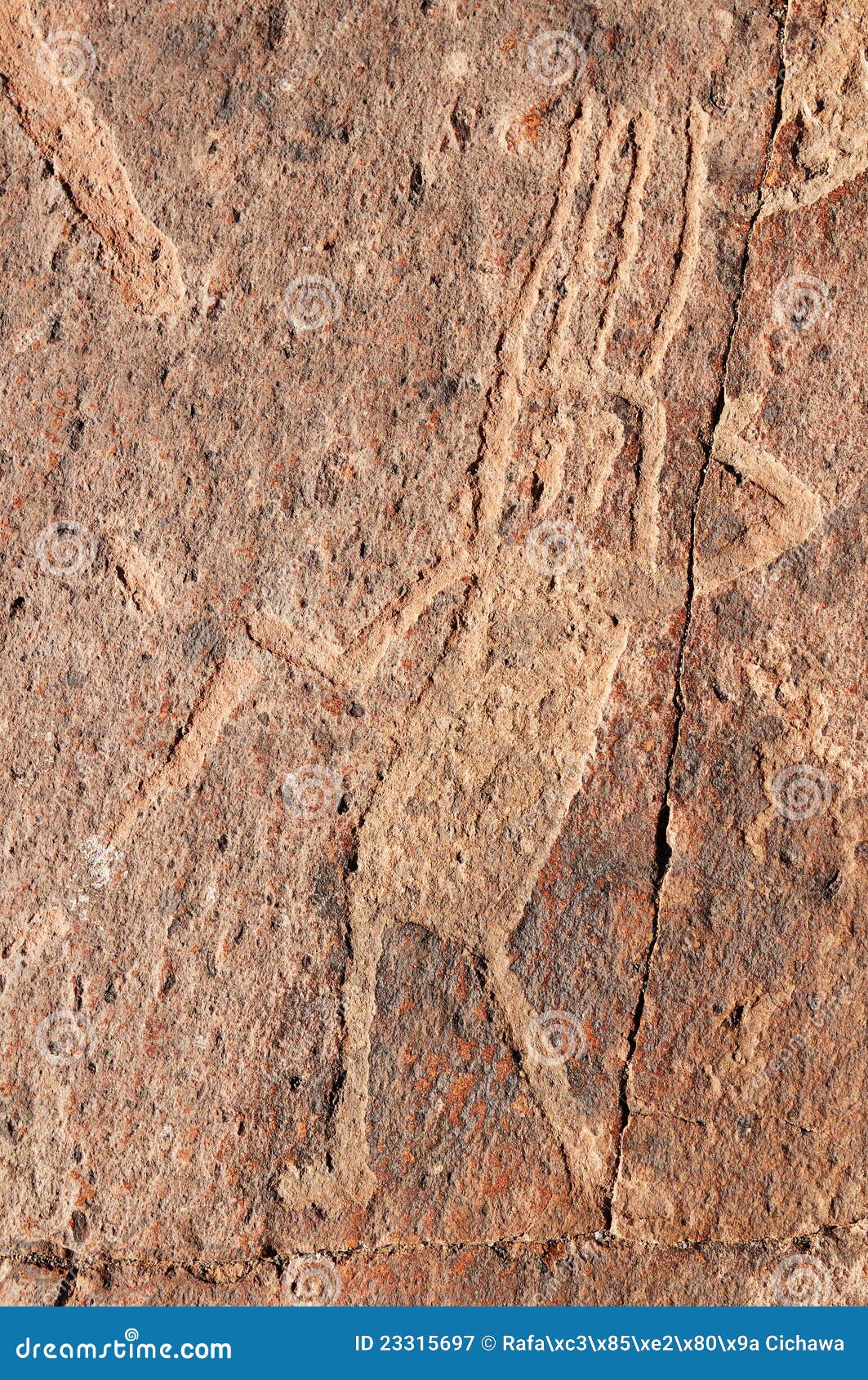 peru, toro muerto petroglyphs
