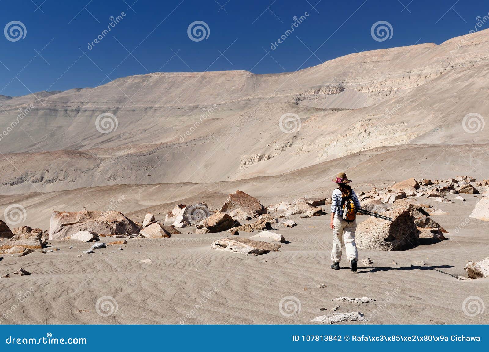 peru, tourist on the desert watching toro muerto petroglyphs