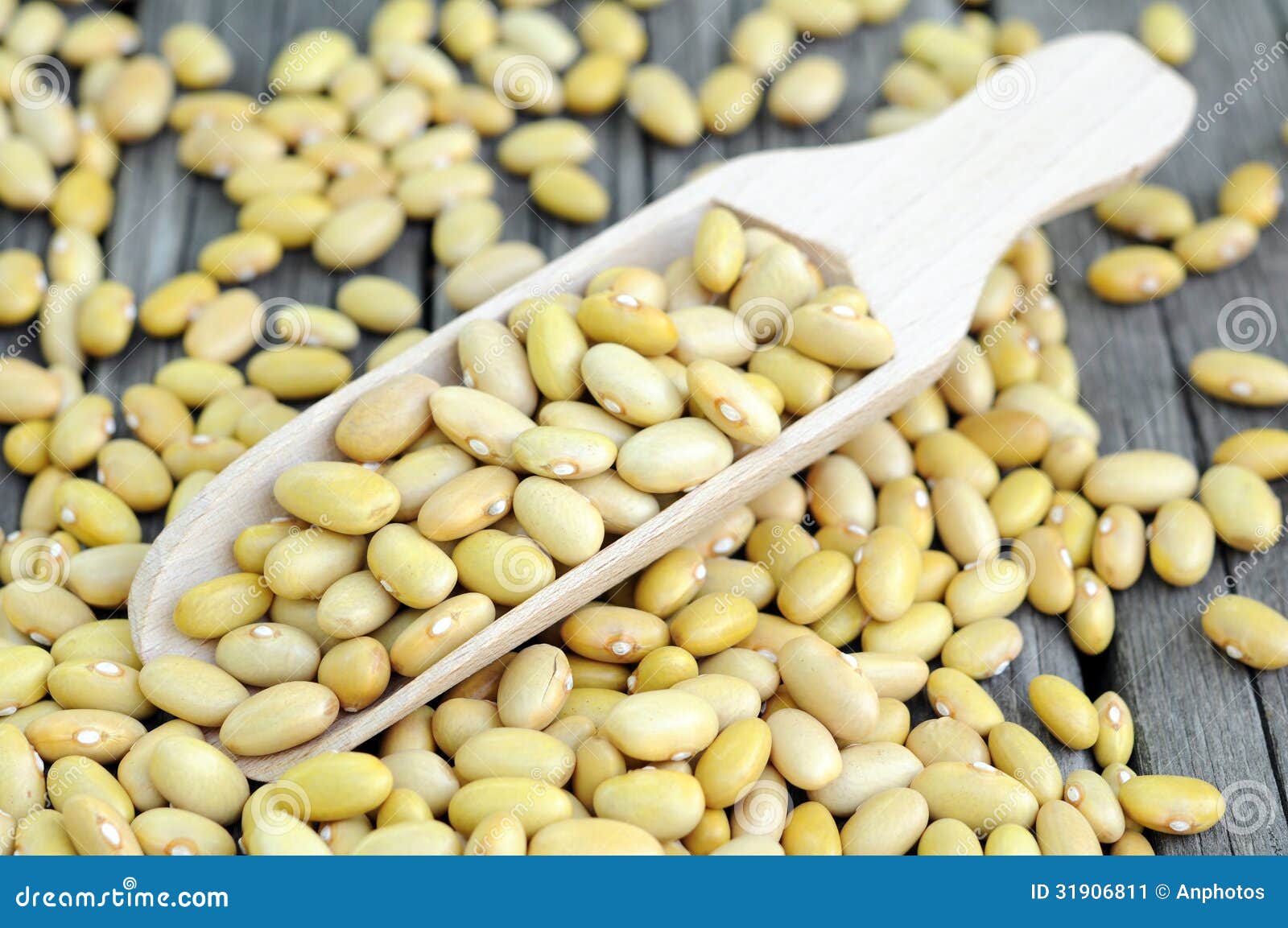 Peruvian Canary (Peruano) Beans Stock Image Image of beans, peruvian