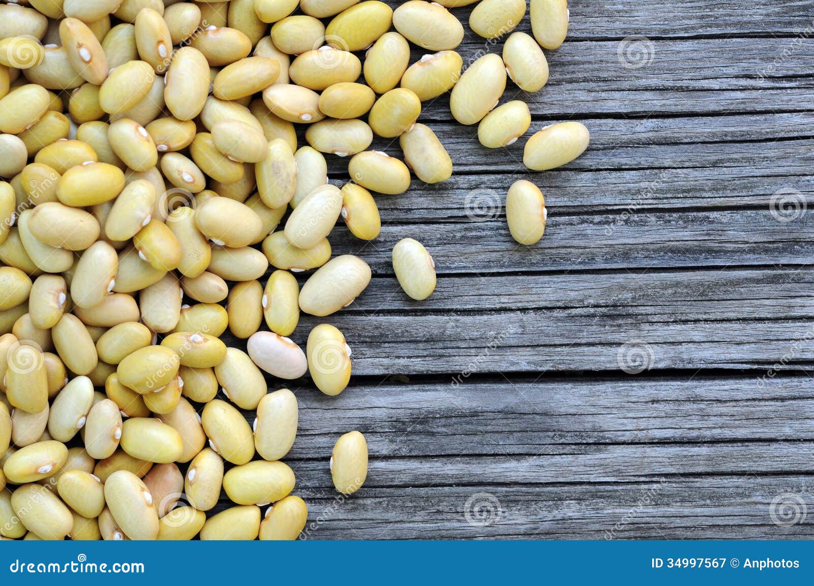 Peruvian Canary (Peruano) Beans Stock Image Image of seed, scoop