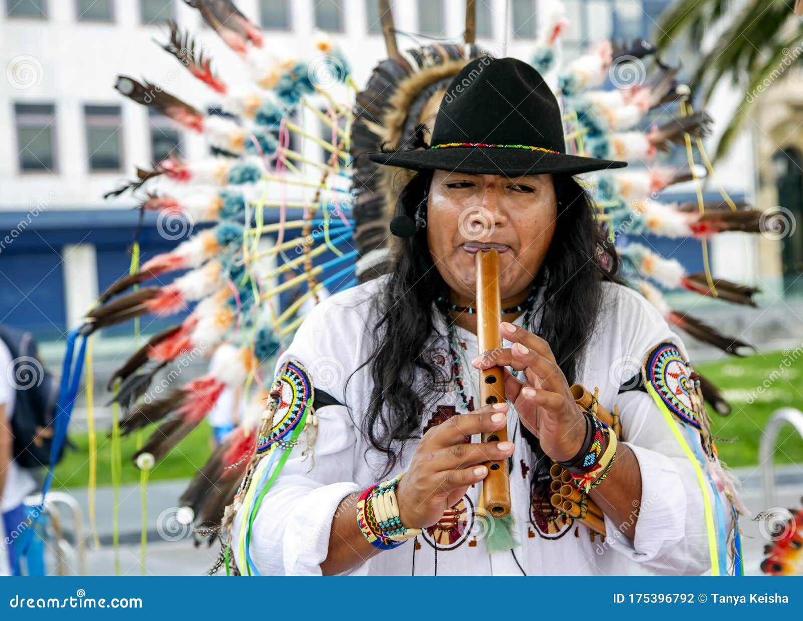 Перуанские индейцы 4 буквы. Перуанские индейцы. Оргии перуанских индейцев. Индийская гармоника. Покажи музыкальный инструмент перуанских индейцев чаранга на фото.