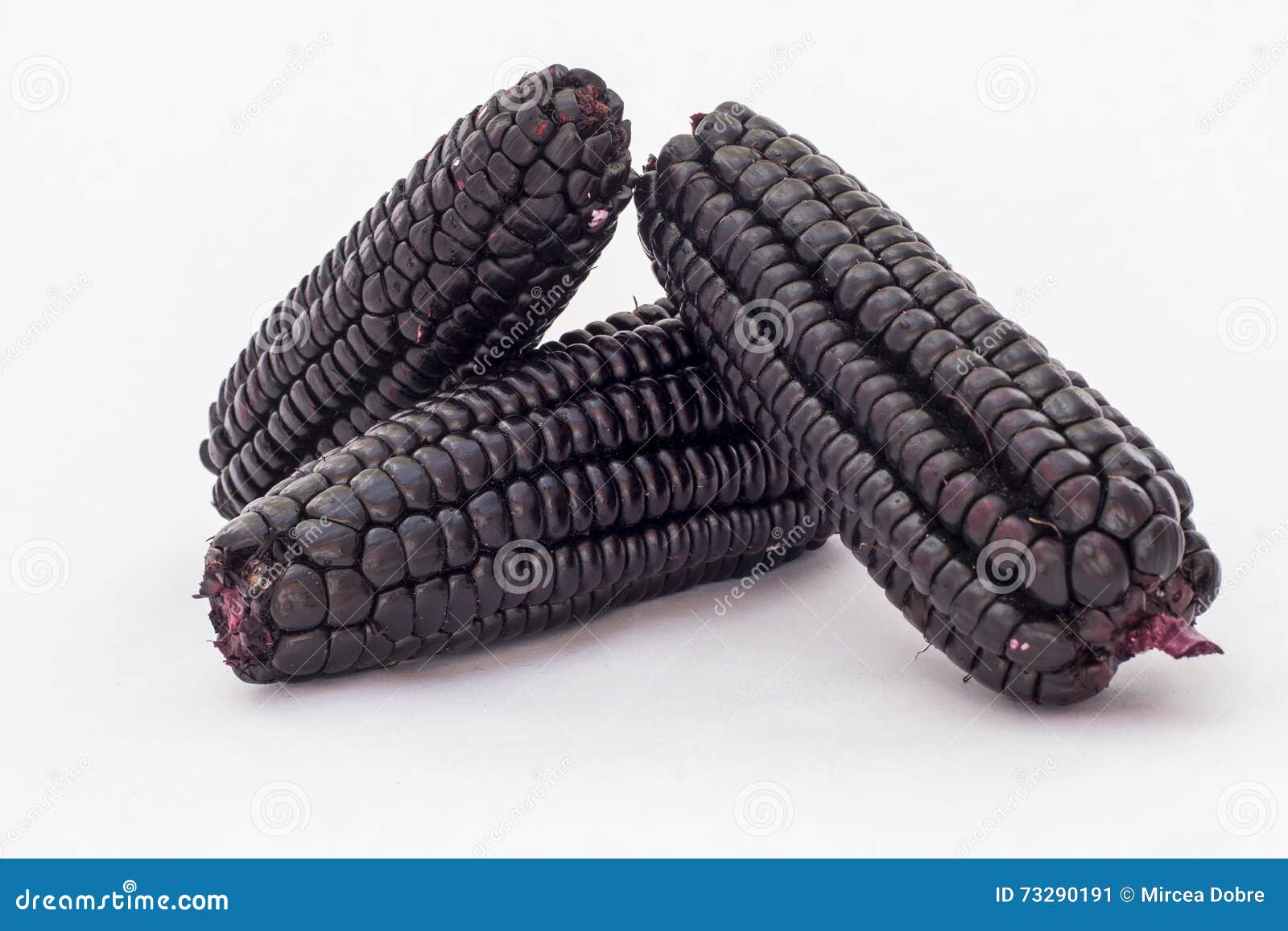 peruvian purple corn (maiz morado), which is mainly used to prepare juice called chicha morada.