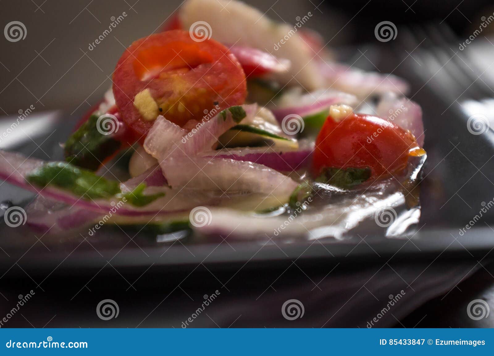 Peruvian Tilapia Ceviche stock image. Image of south 85433847