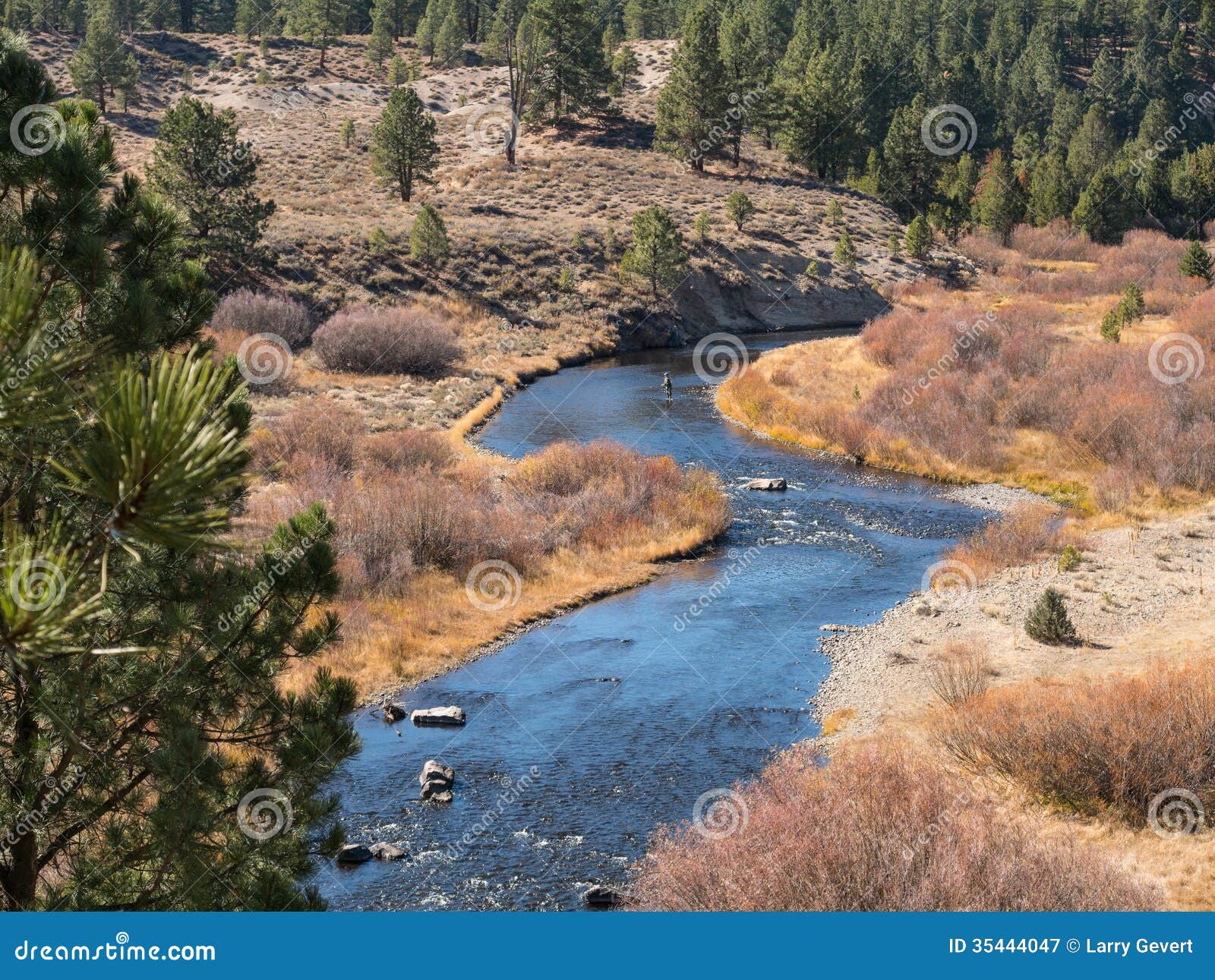 Pesca com mosca no Little Truckee River. Pesca com mosca, o Little Truckee River, Califórnia do norte