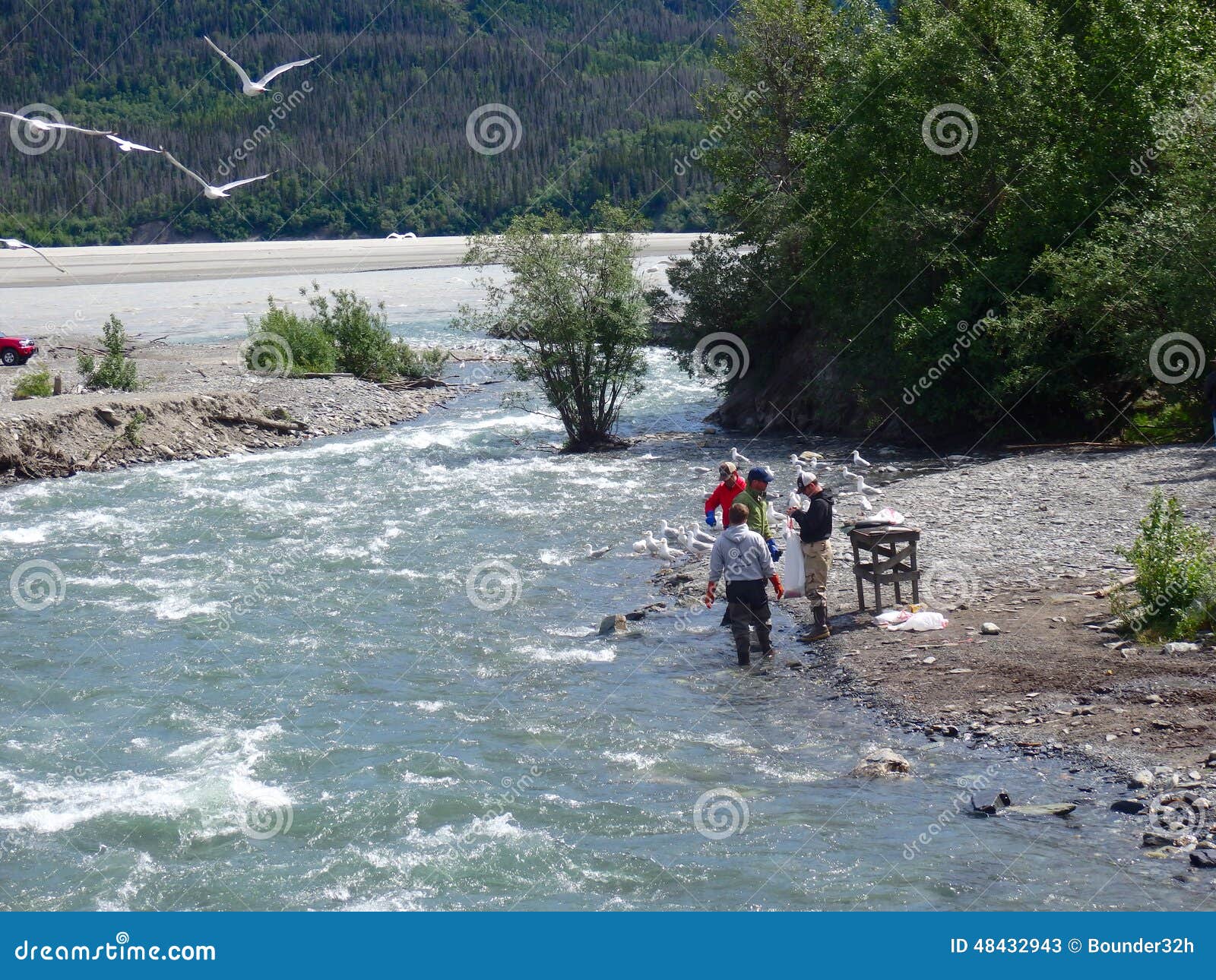 Nigel Houldsworth Deluxe Colour Salmon River Beat &amp; Pool Maps 12 River Options
