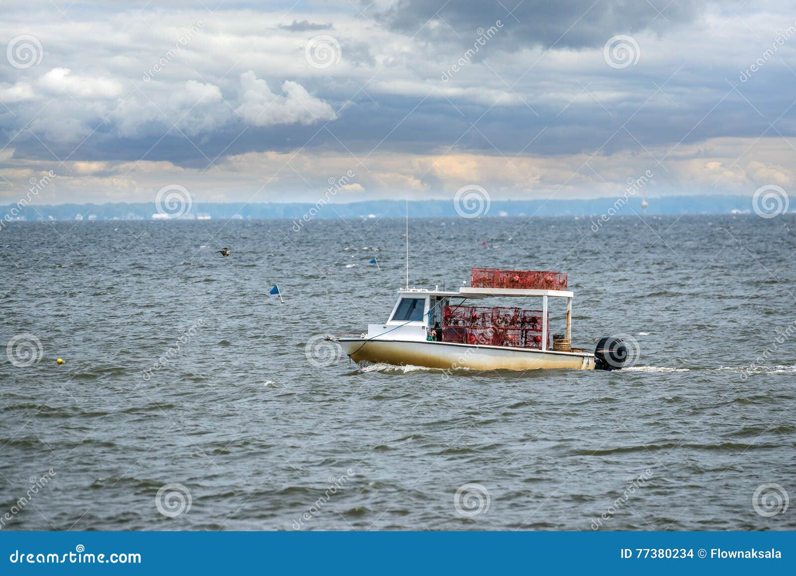 Pesca do barco do caranguejo de Maryland na baía de Chesapeake. Pesca do waterman de Maryland para caranguejos na baía de Chesapeake