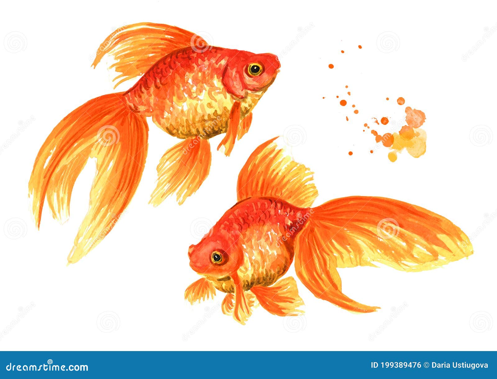 Pescado De Oro Dos Peces Dorados Ilustración Dibujada a Mano De Acuarela Aislada En Fondo Blanco Stock de ilustración - Ilustración de despreocupado, cubo: 199389476 Pescado De Oro Dos Peces Dorados Ilustración Dibujada a Mano De Acuarela Aislada En Fondo Blanco Stock de ilustración - Ilustración de despreocupado, cubo: 199389476