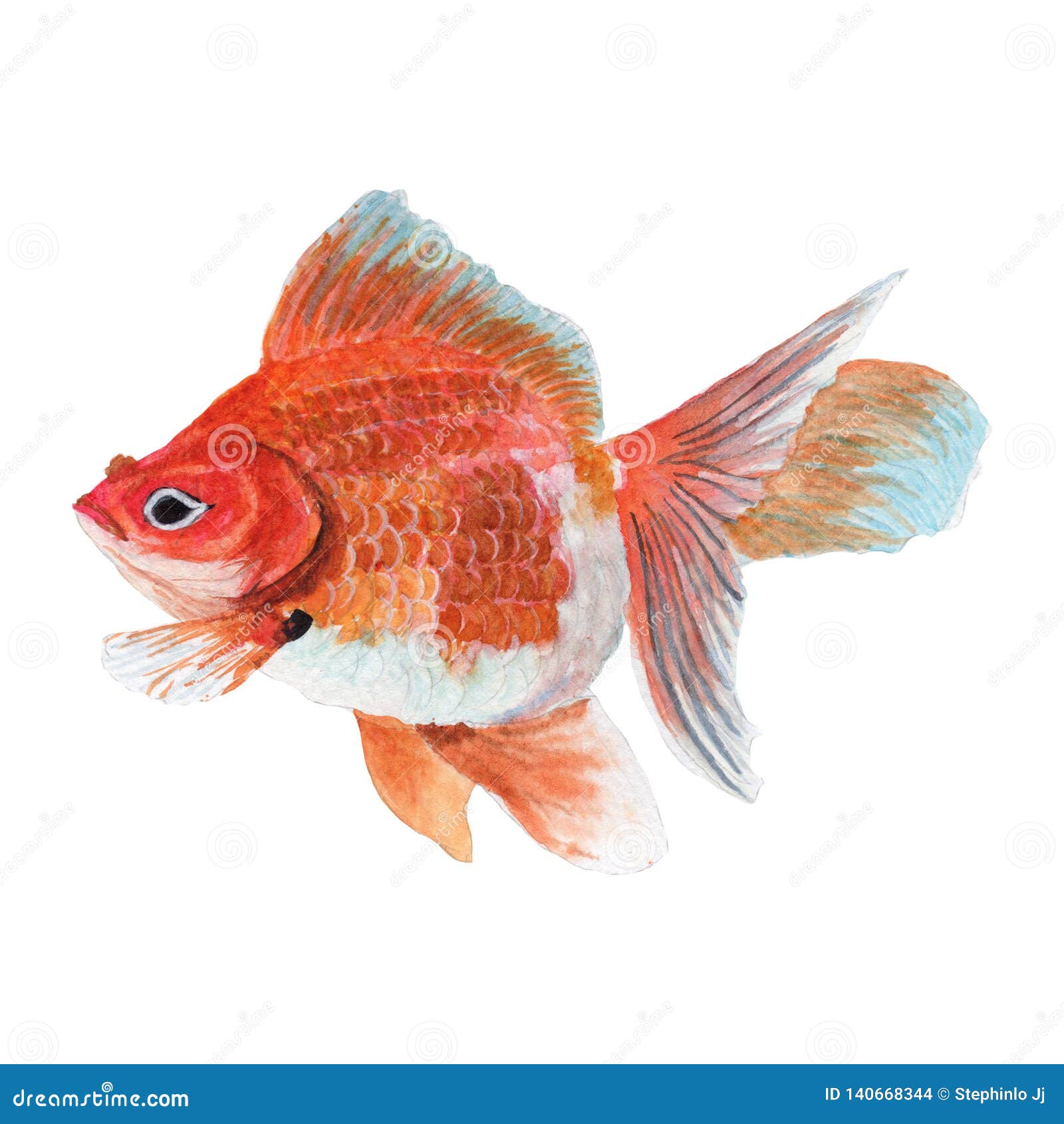 Pescado Dorado Pintura Acuática Dibujos De Animales Lindos Pintados a Mano  Color Agua Stock de ilustración - Ilustración de animal, dorado: 140668344