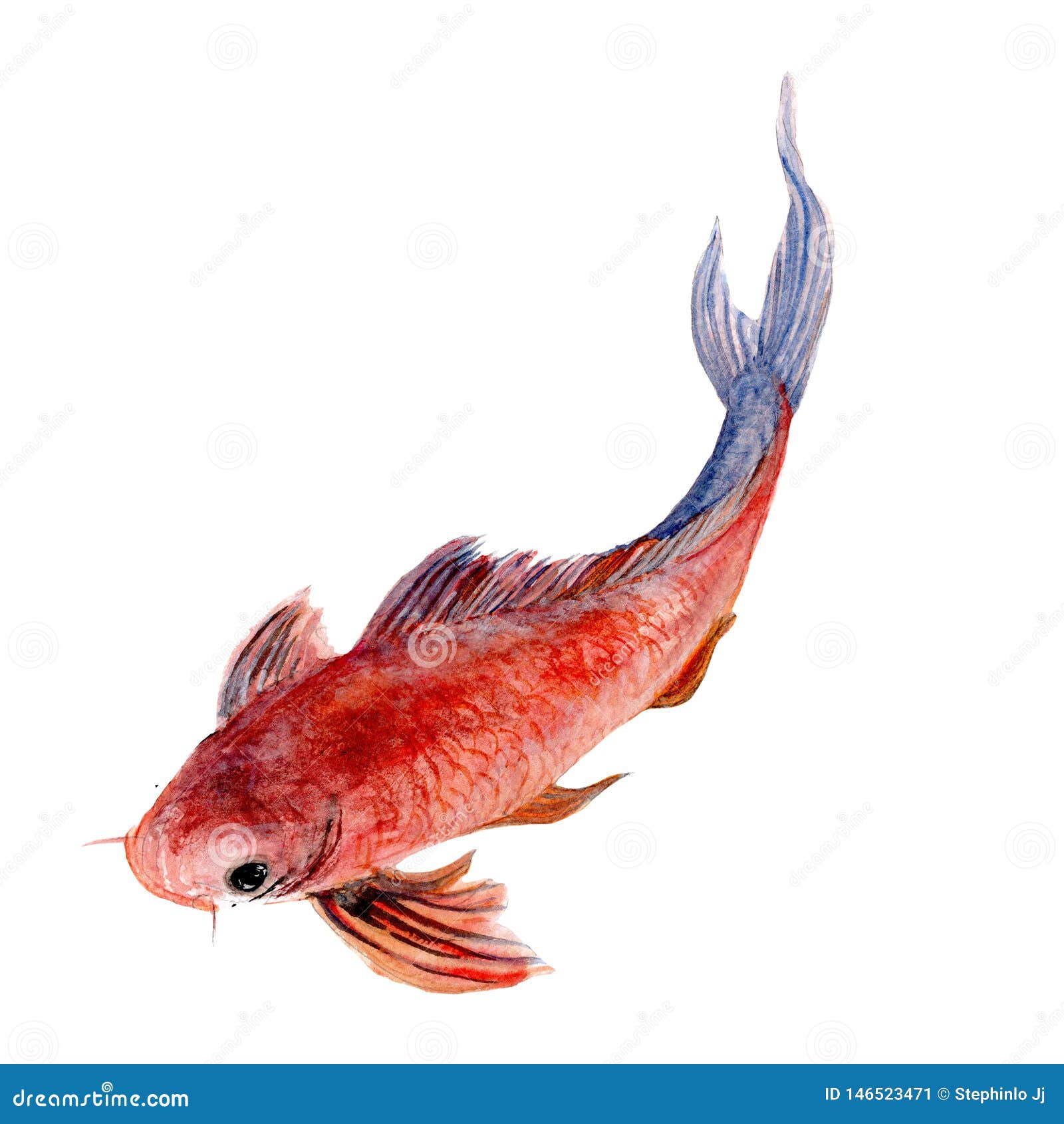 Pescado Koi Carpa Pintura Acuática Dibujos De Animales Lindos Pintados a Mano Color Agua Stock de ilustración - Ilustración de fondo, pato: 146523471 Pescado Koi Carpa Pintura Acuática Dibujos De Animales Lindos Pintados a Mano Color Agua Stock de ilustración - Ilustración de fondo, pato: 146523471