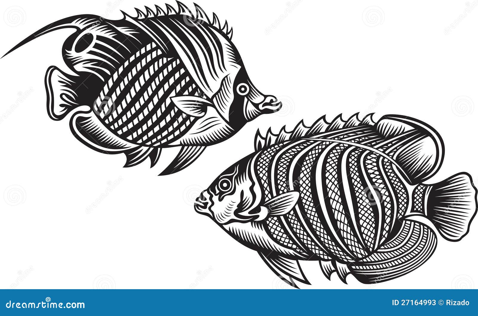 Pescados decorativos. Estilo blanco y negro