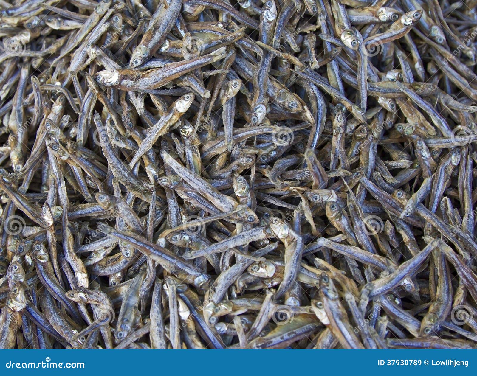 Pesce Essiccato Per Rettili E Pesci Grandi | 250ml - 35g | Alimento Naturale Ad Alta Appetibilit&agrave;