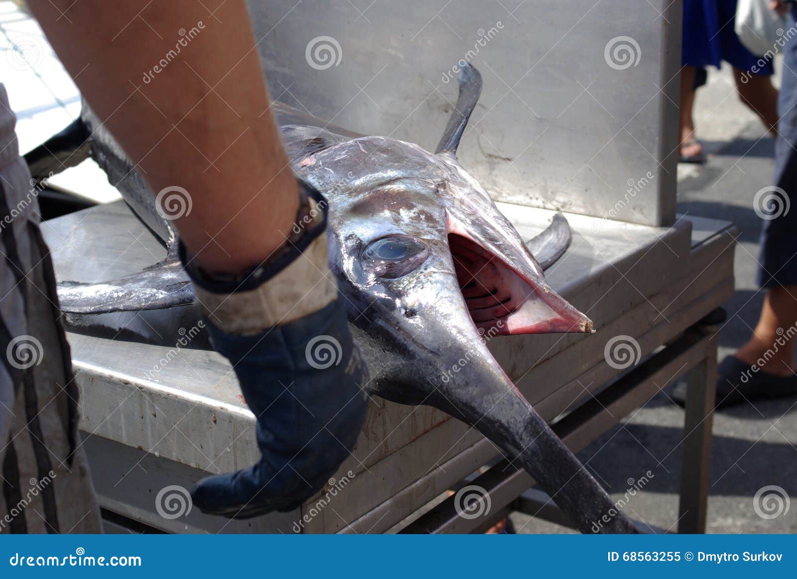 Потрошенная без головы. Рыба меч проткнула рыбу. Рыба меч протыкает рыбака. Рыба меч проткнула человека.
