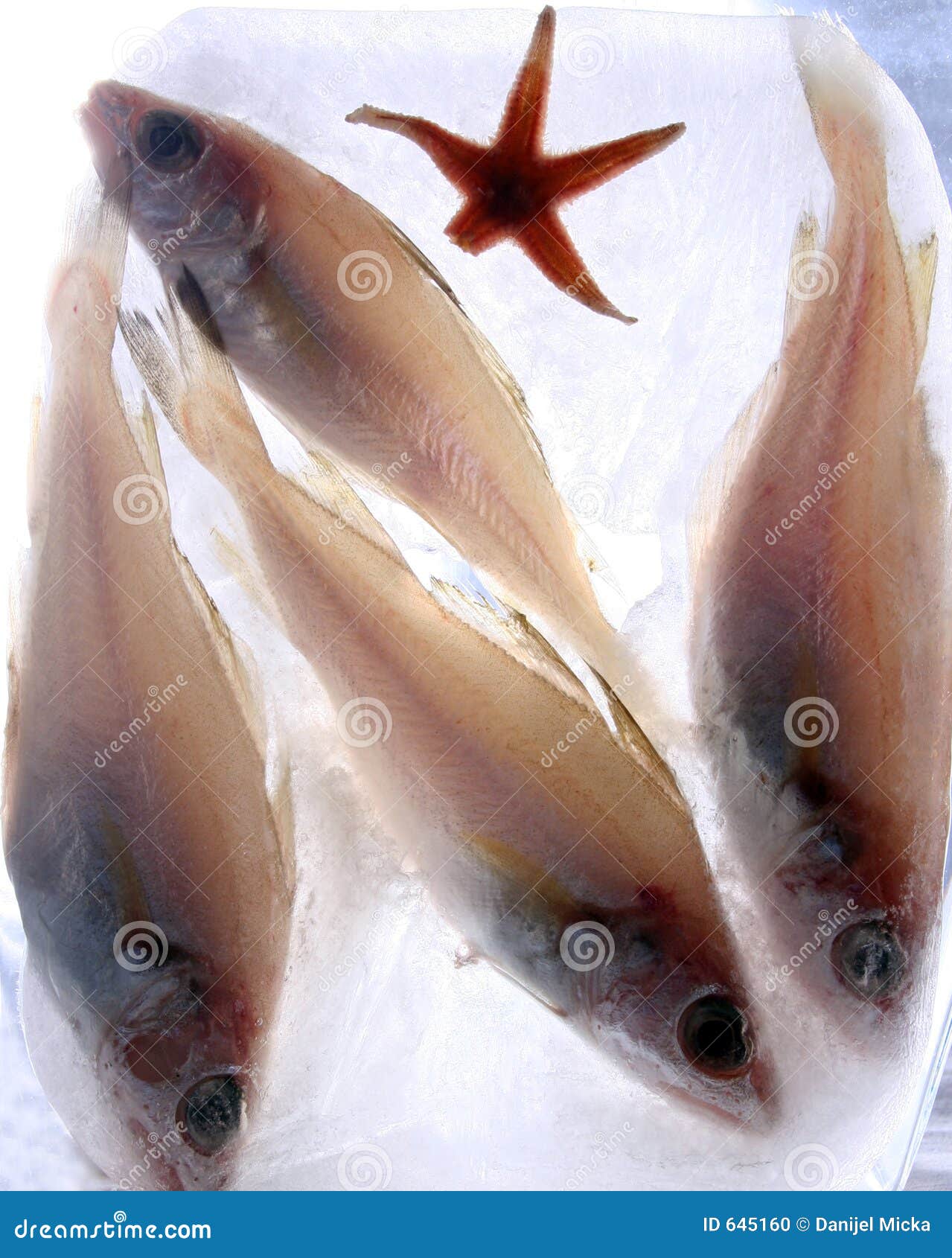 3 Hook HI-Lo   Deep Drop   Fishing Rigs Striper Black Fish Sea 1062168 - Foto 3