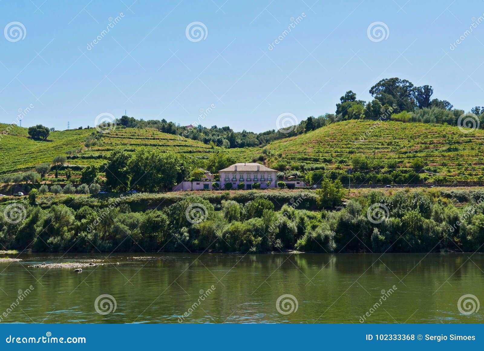 Peso DA Regua Portugal photo stock. Image du portugal 102333368