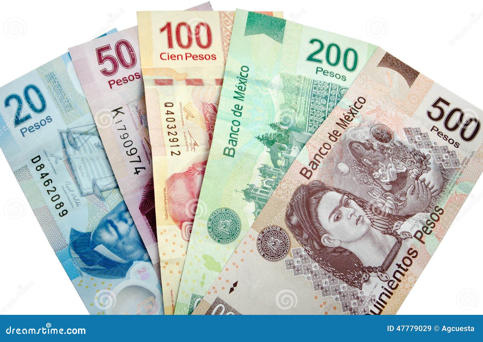 Pesos Mexicanos Isolados Imagem De Stock Imagem De Papel 47779029 mexican-currency-and-banknotes-best-guide-for-2024