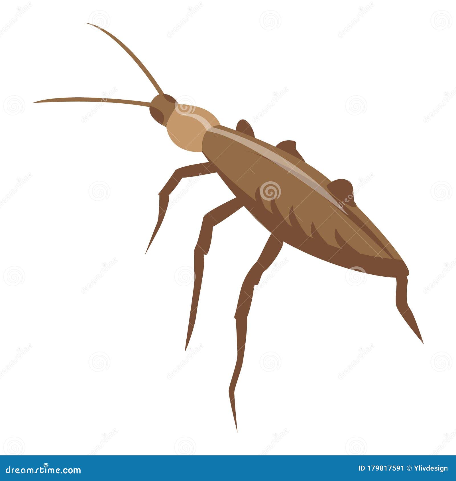 Pest Cockroach Icon, Isometric Style Stock Vector - Illustration of ...