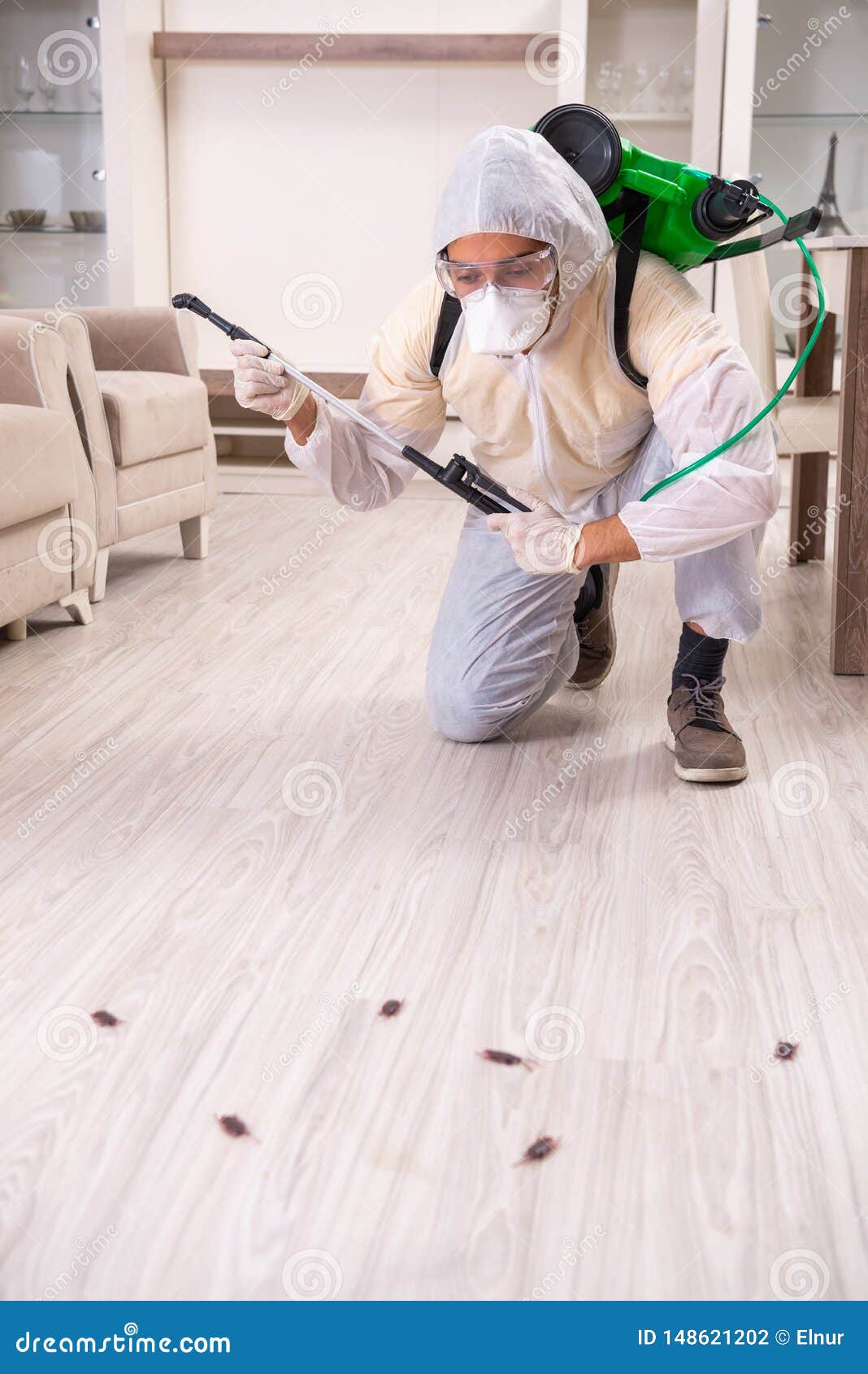 Pest Control Contractor Working In The Flat Stock Photo