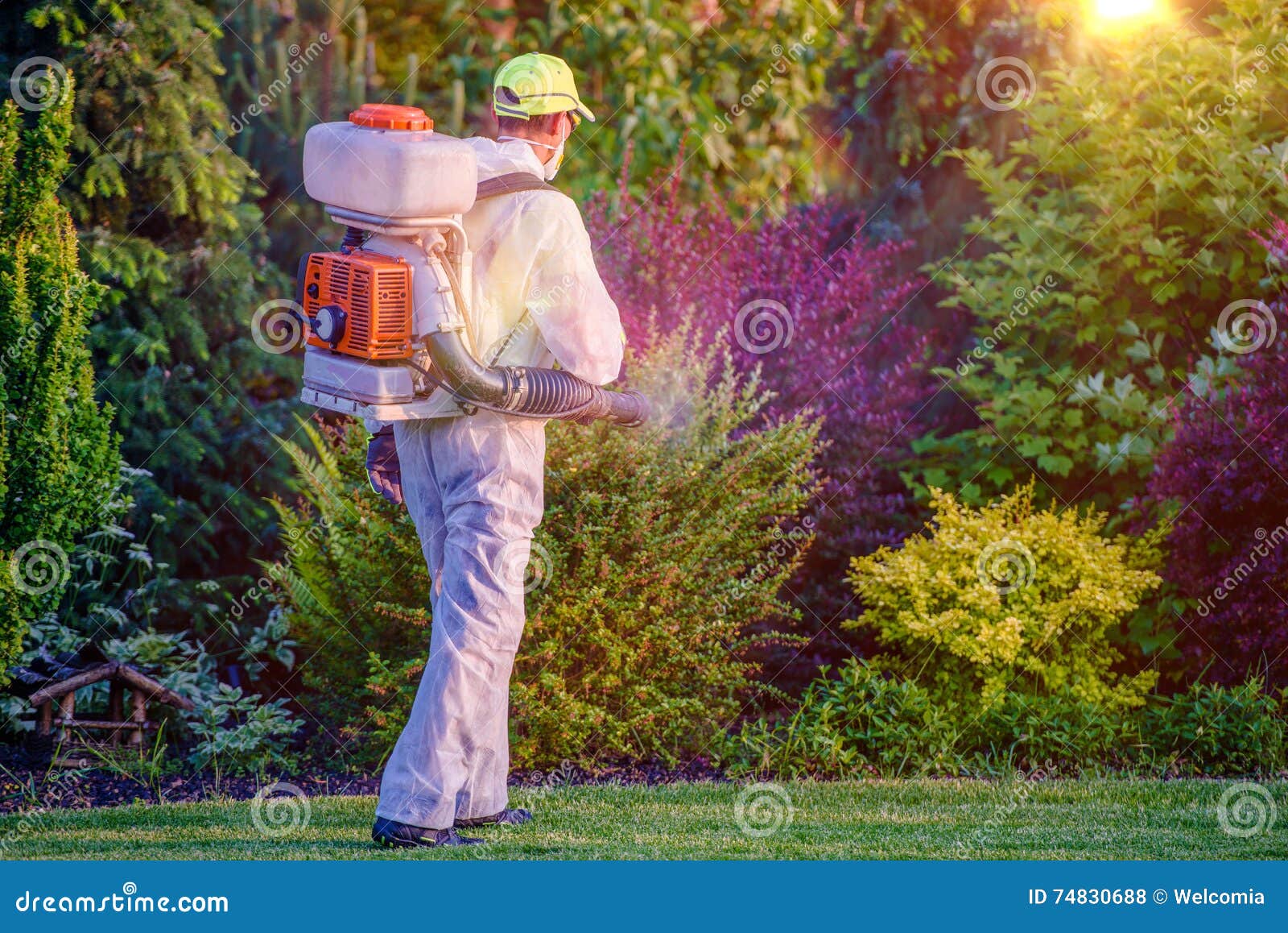 pest control garden spraying