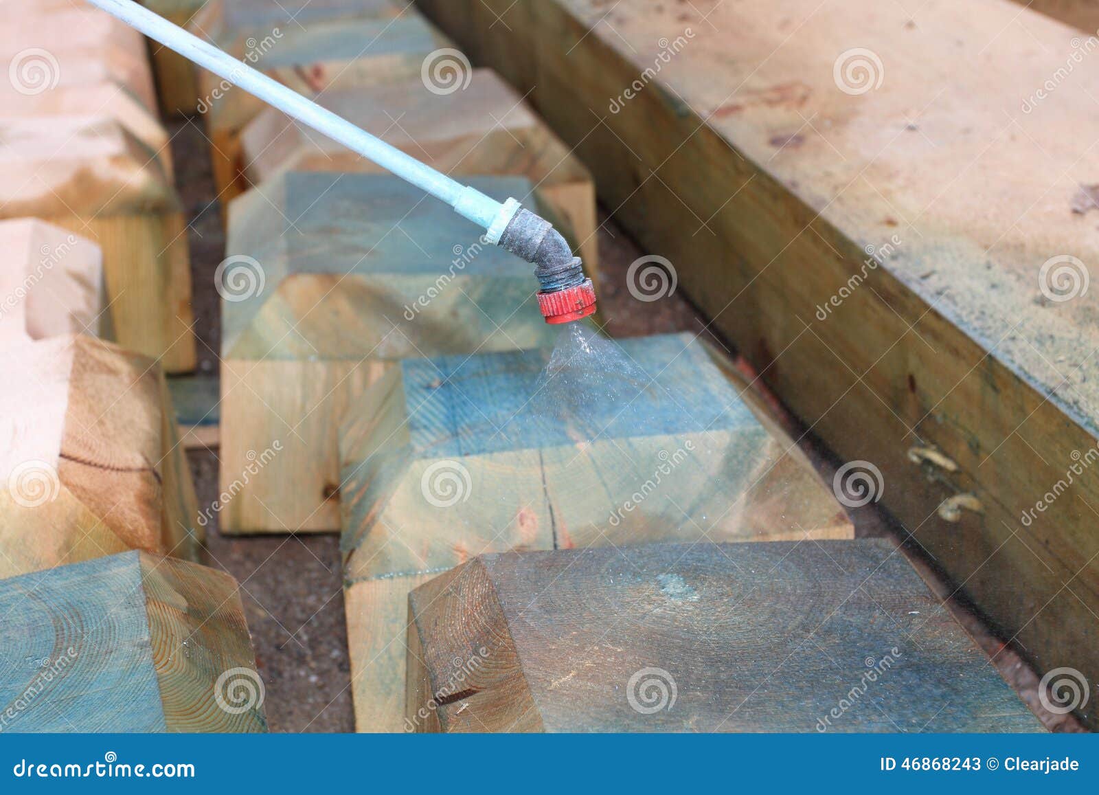 Pest Control Treatment of Wood Stock Image Image of wood, timber