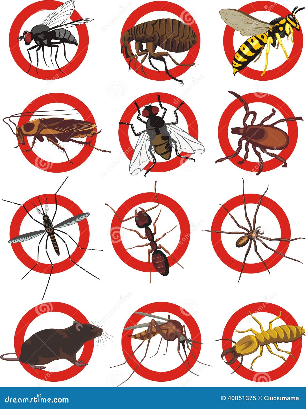 Pest Control Service In Lehi Ut