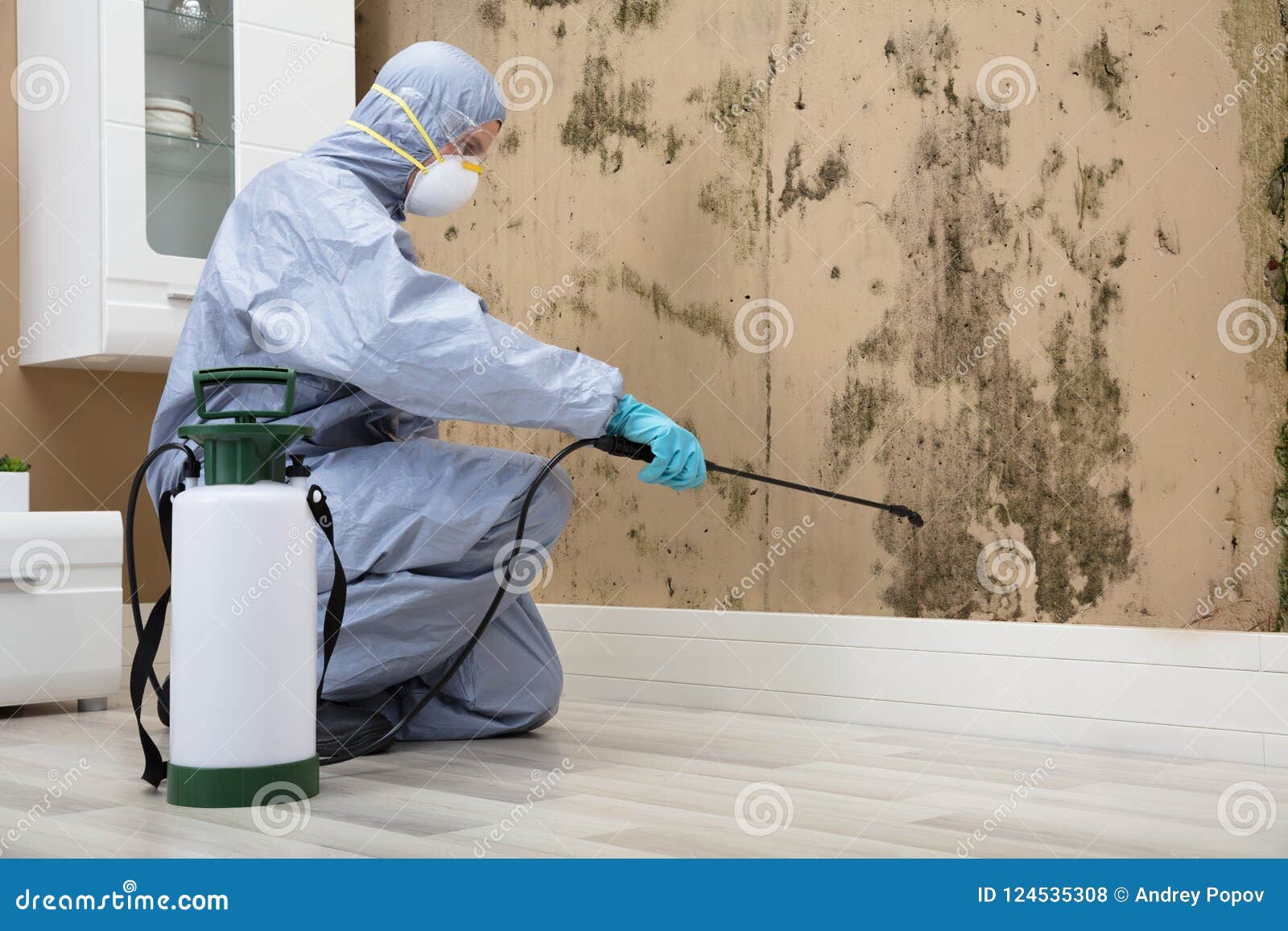 pest control worker spraying pesticide on wall