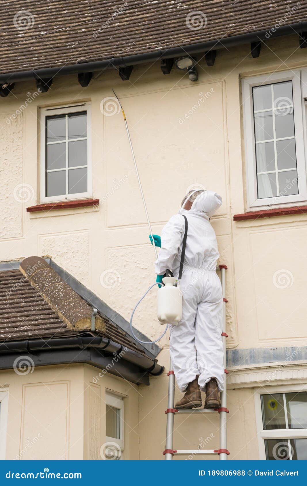 Pest Controller in Protective Clothing Spraying Wasp Killer Treatment