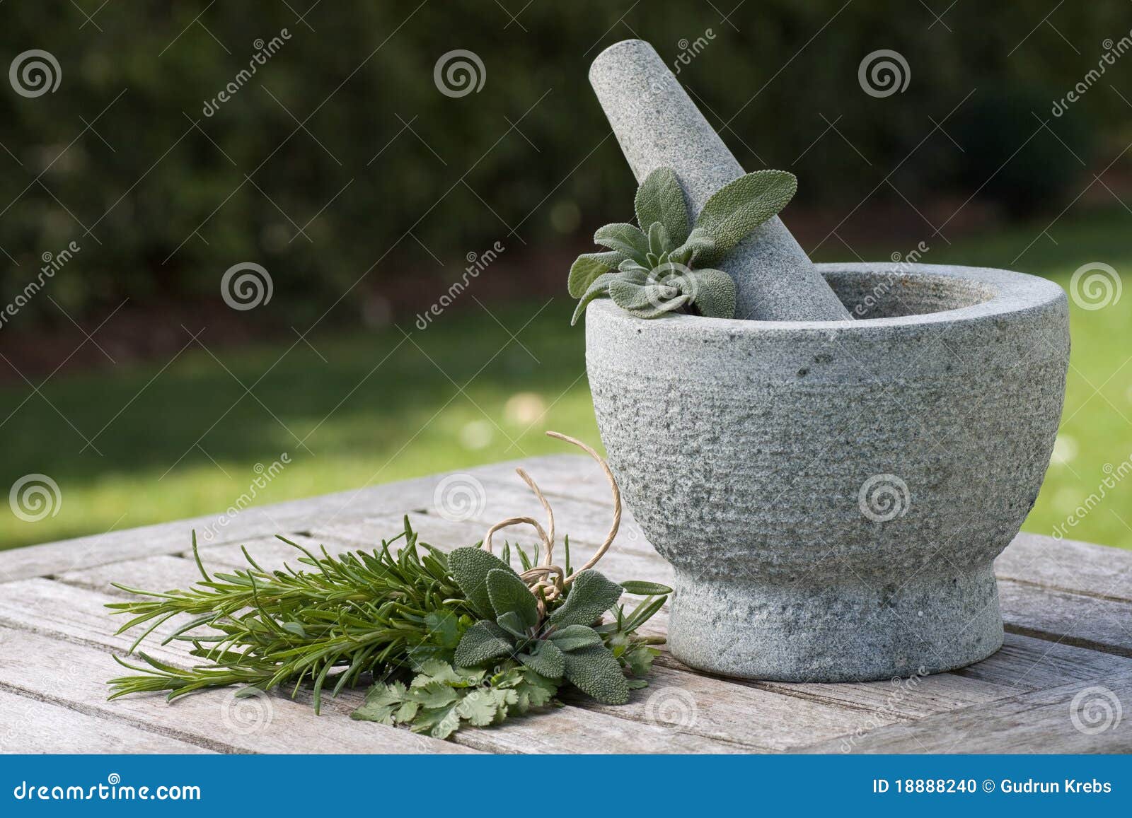 Pestle and Mortar with Herbs Outdoor Stock Photo Image of fragrant