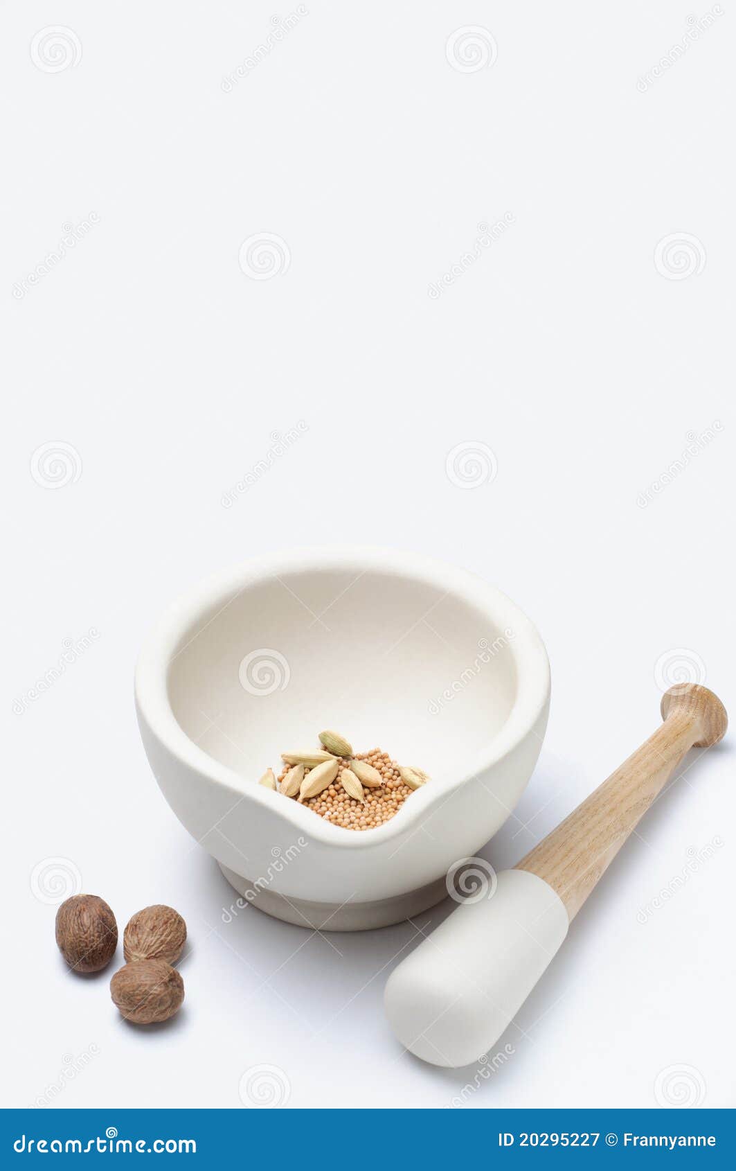 Pestle and Mortar with Spices Stock Image Image of equipment