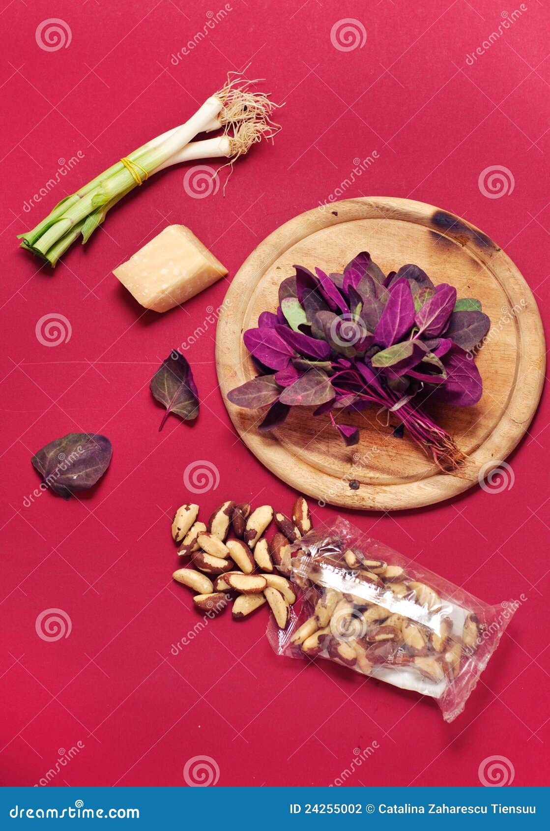 Pesto ingredients stock photo. Image of food, green, sauce 24255002