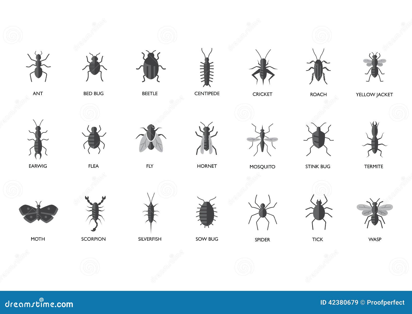 Insect identifier on sale