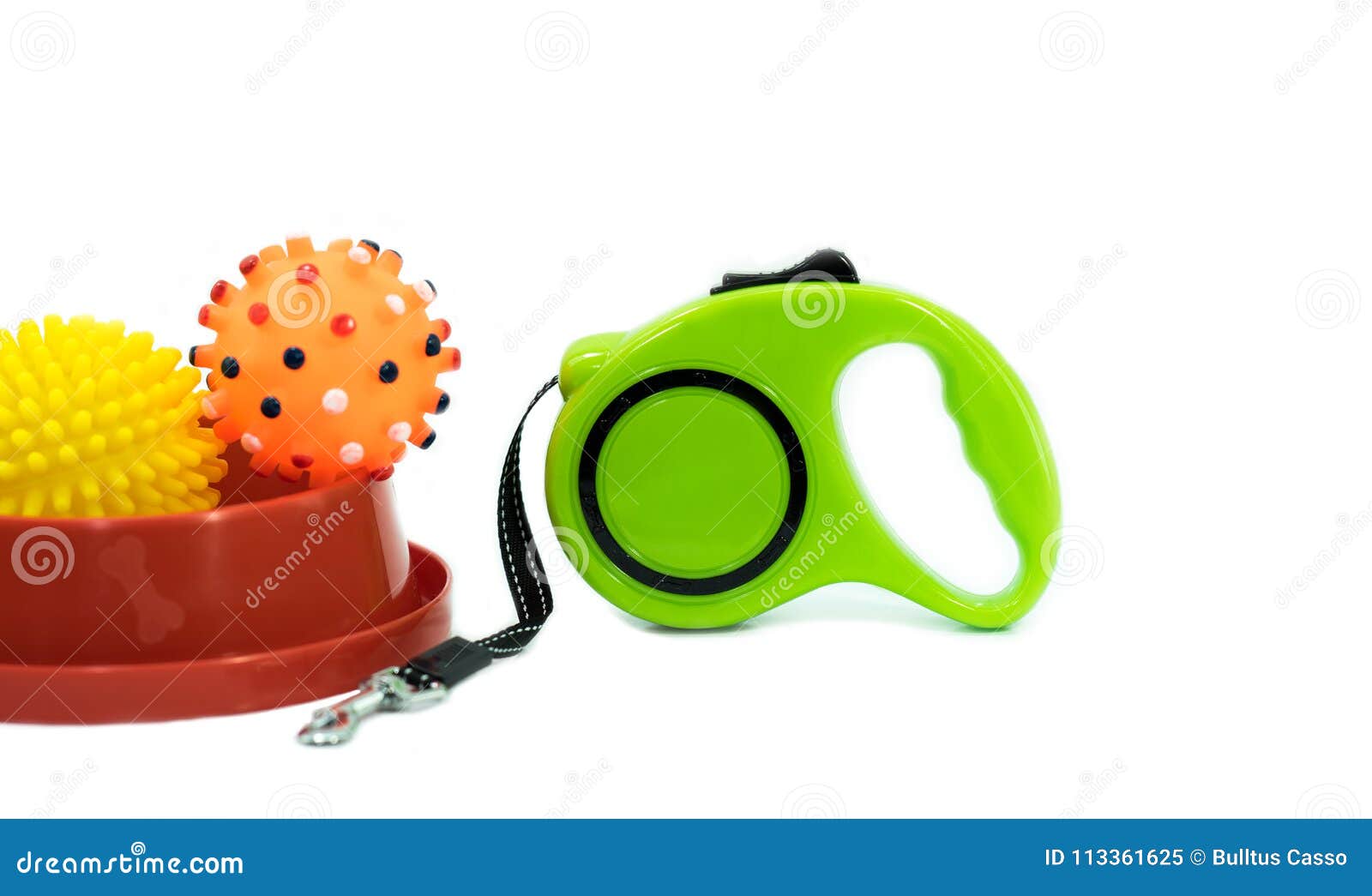 Pet Accessories Concept Bowl, Ball and Automatic Leash Stock Image