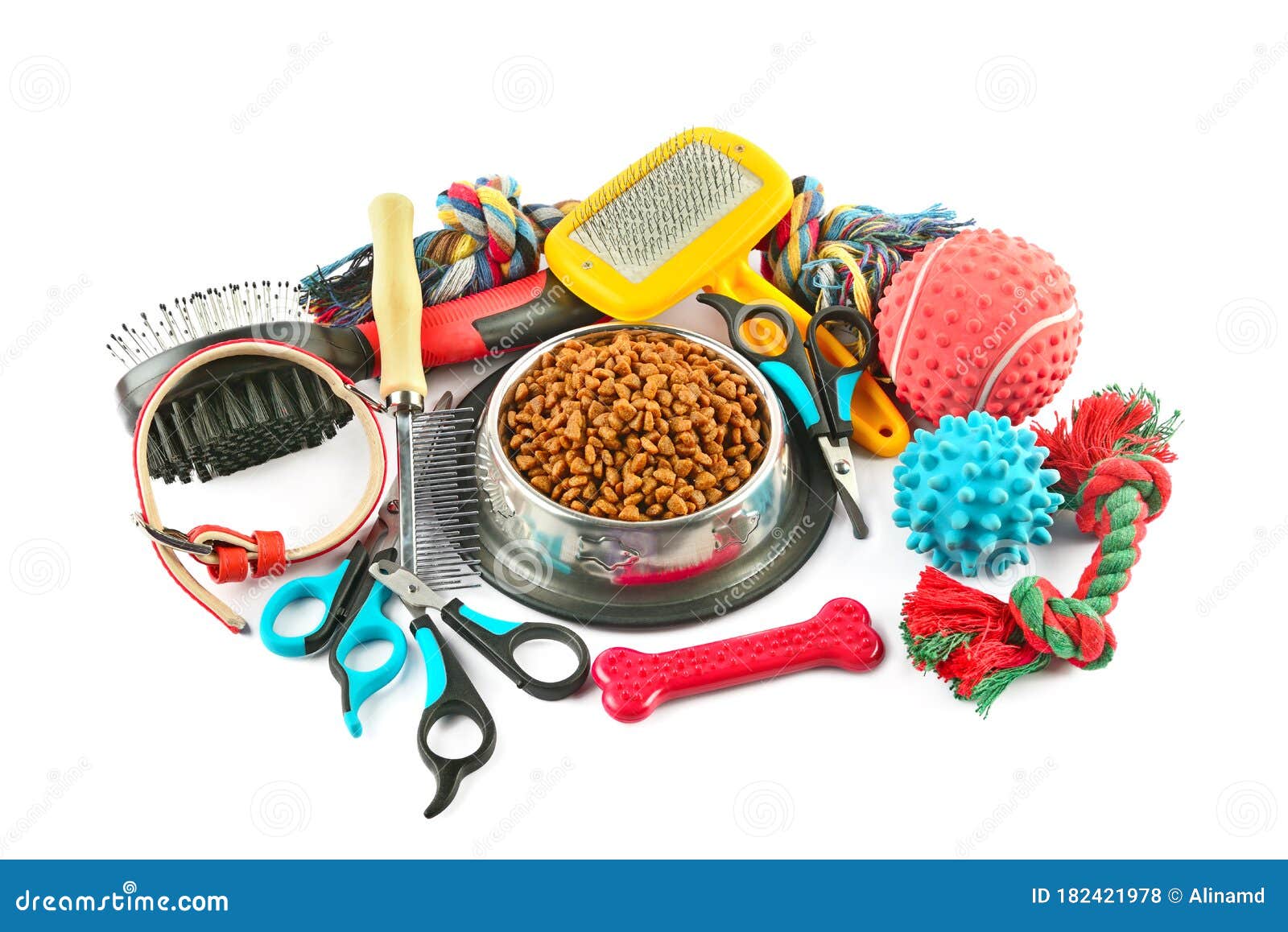 Dog Supplies Isolated On White Background Stock Photo - Image of