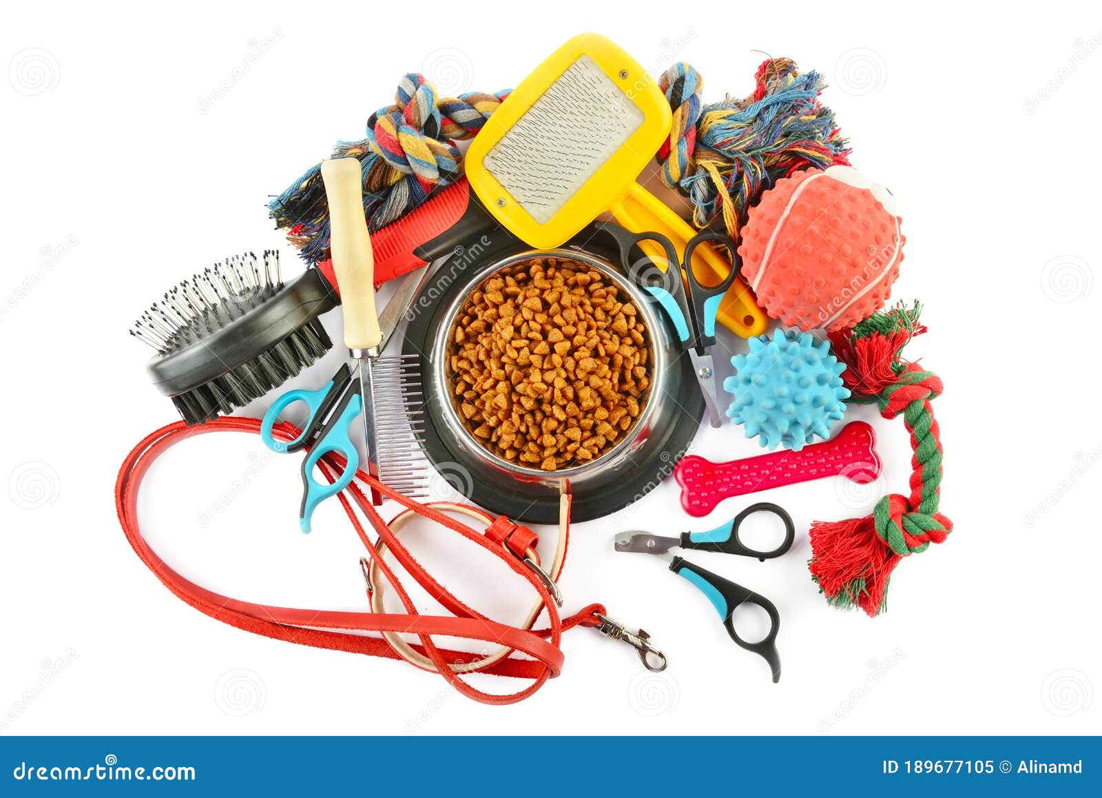 Pet Accessories Isolated On White Background Stock Image Image Of pet-accessories-isolated-on-white-background-stock-image-image-of