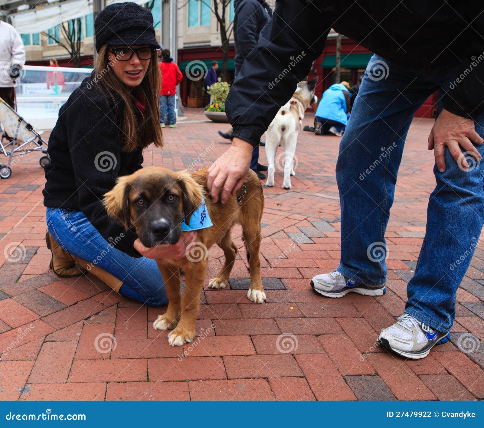 41 Pet Adoption Events In Virginia Images