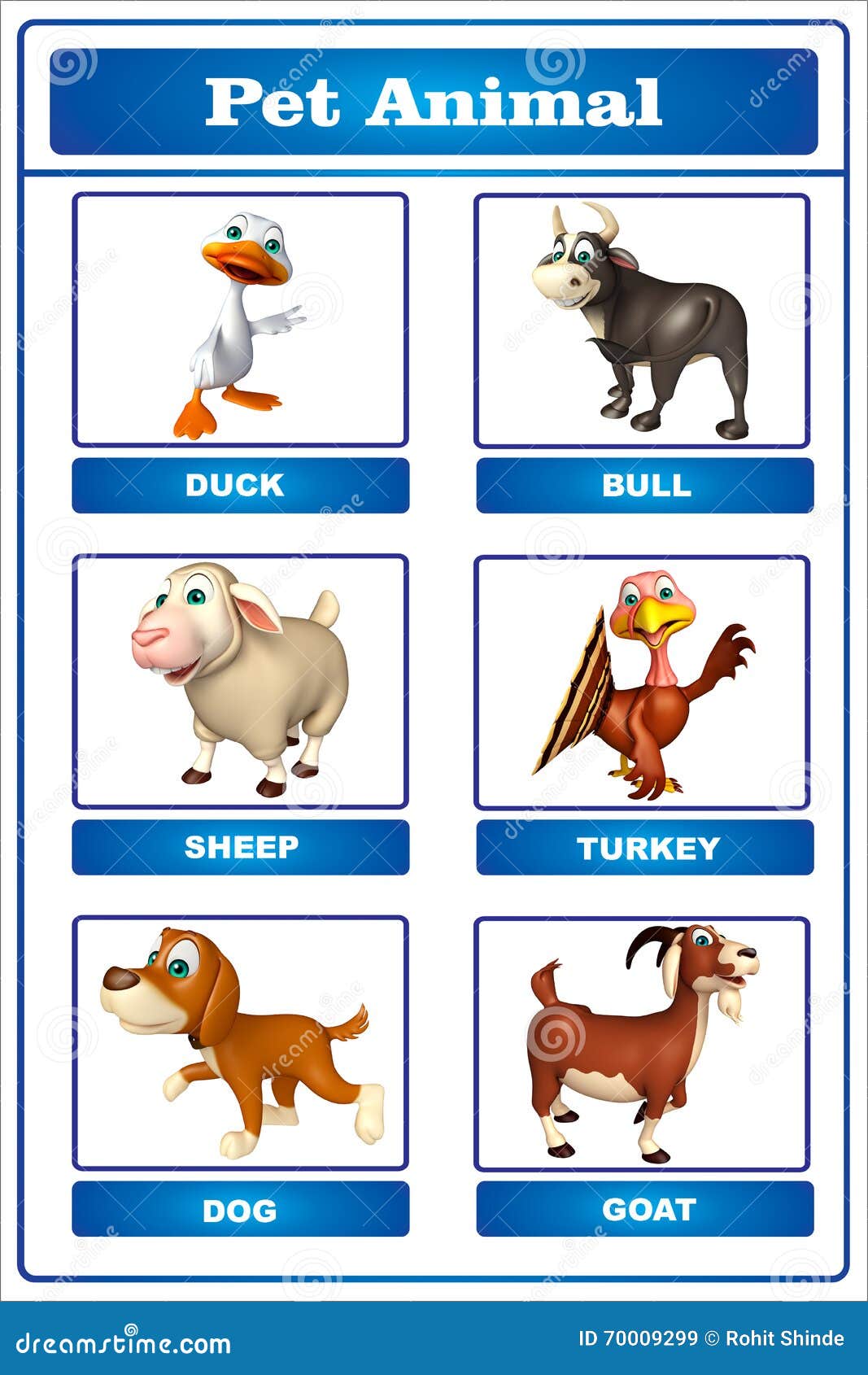 Pet Animals Pictures Chart