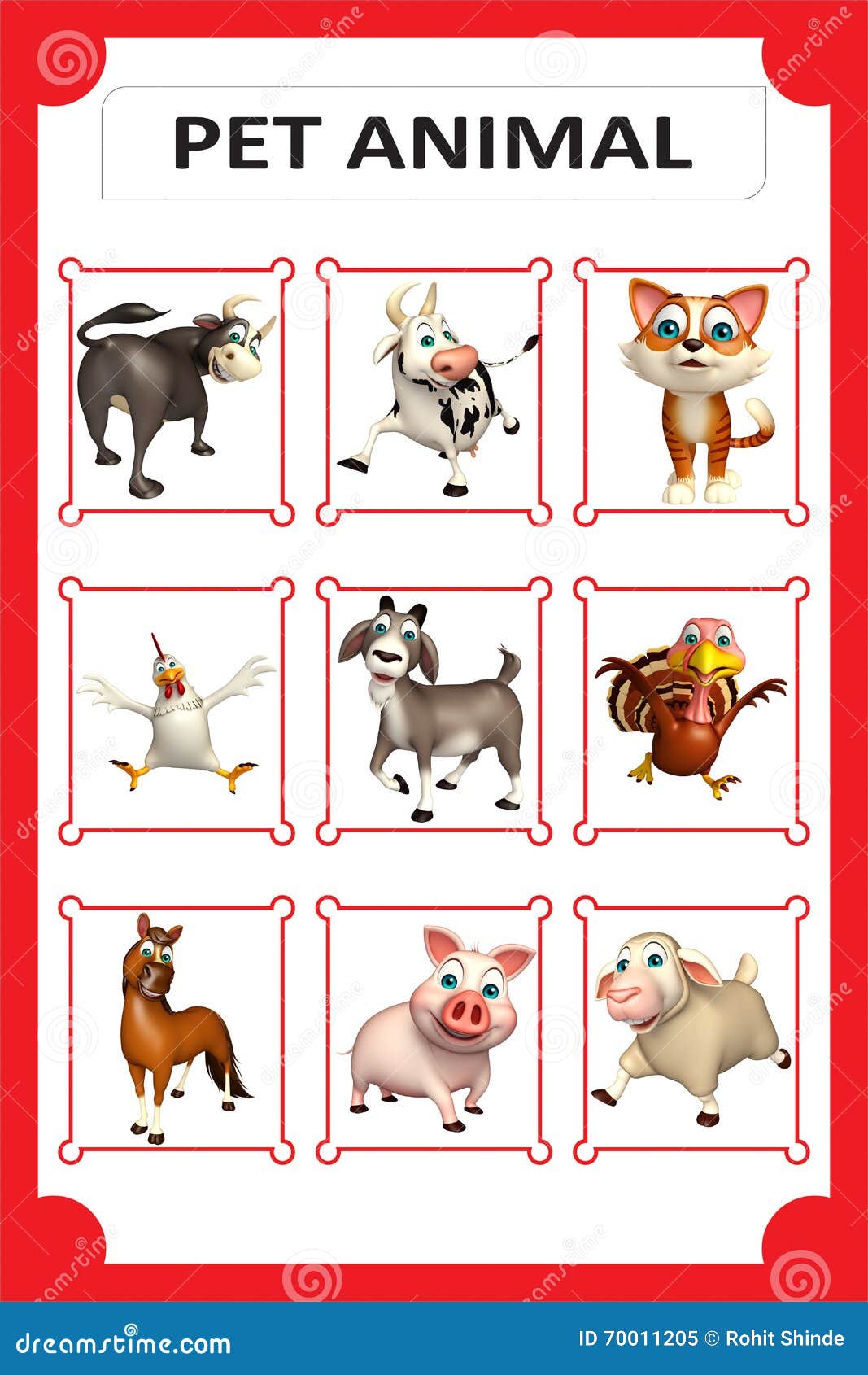 Pet Animals Pictures Chart