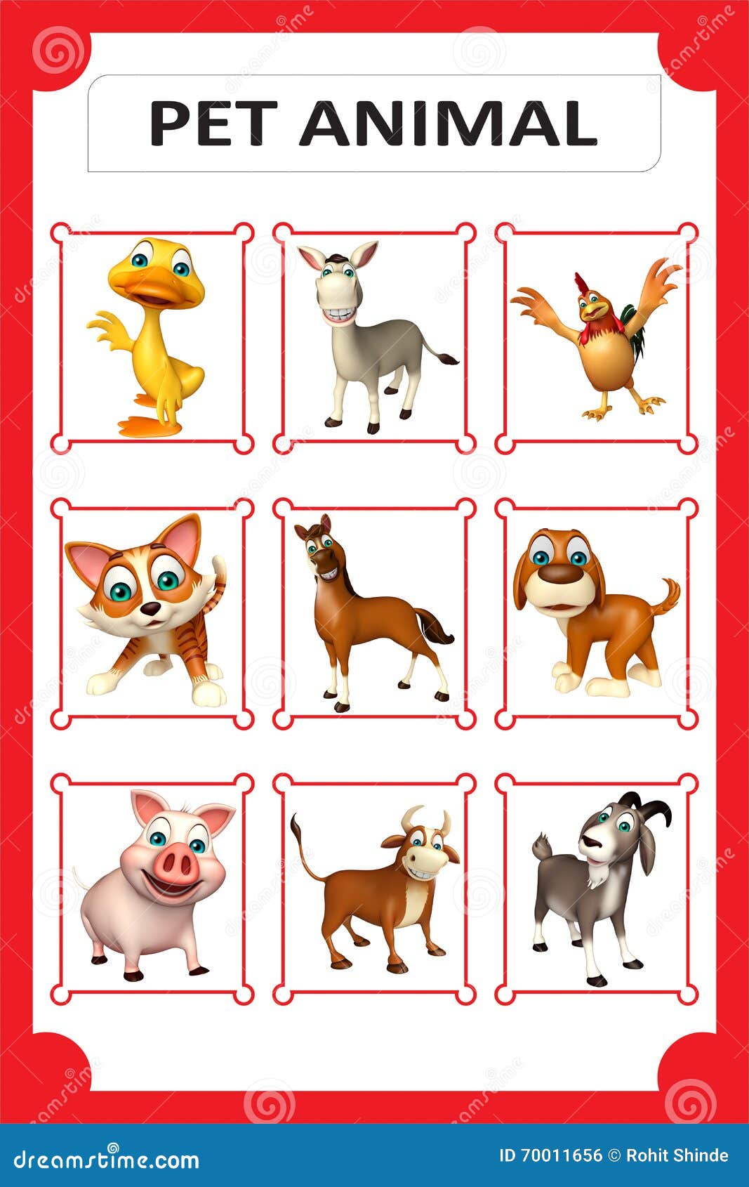 Pet Animals Pictures Chart