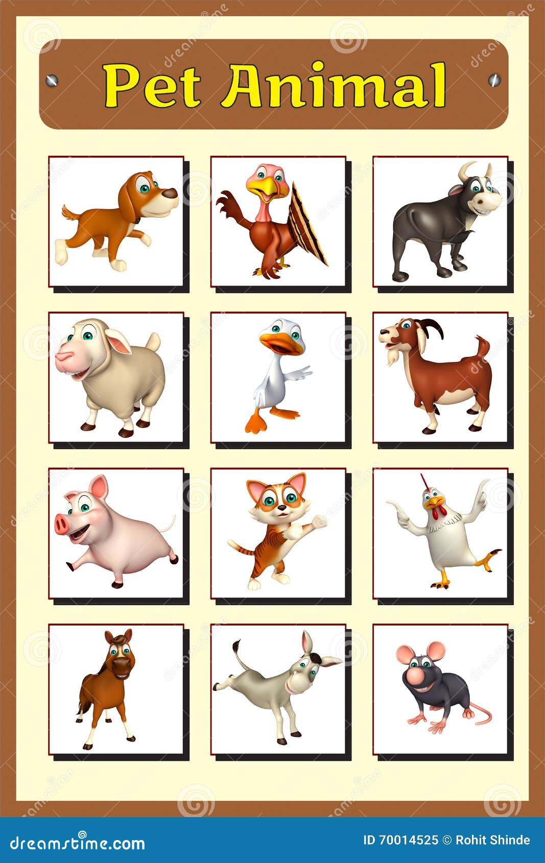 Pet Animals Pictures Chart