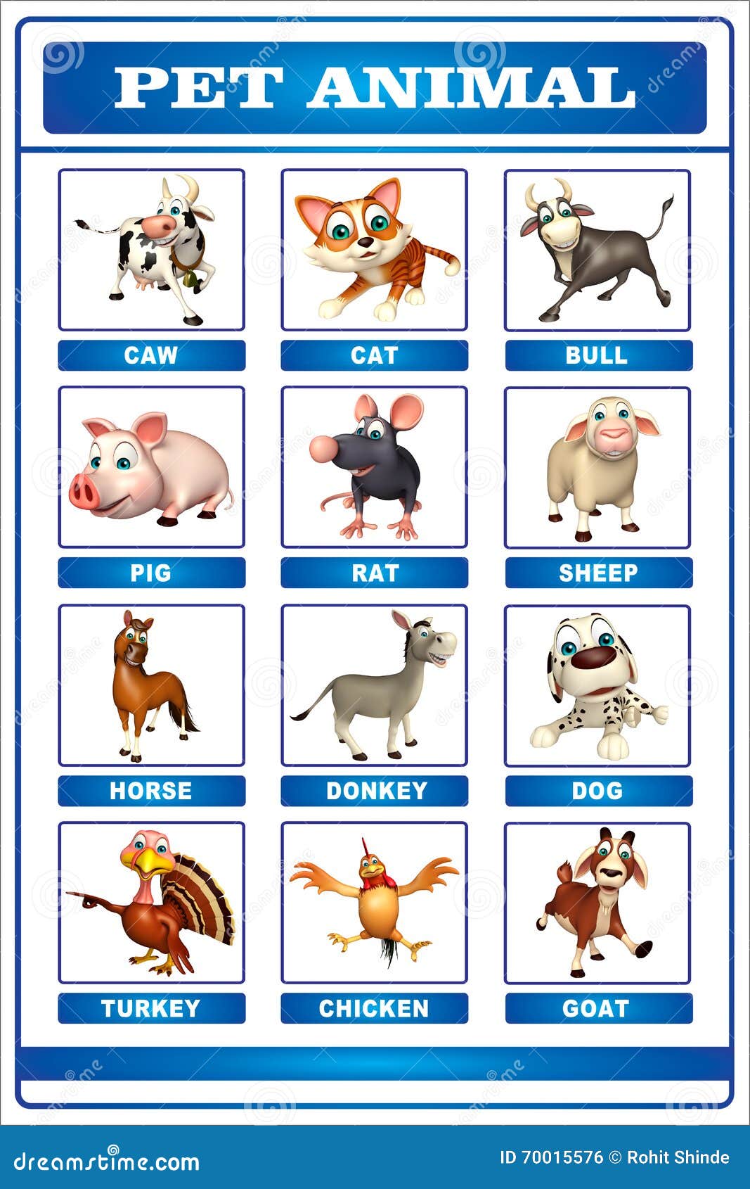 Pet Animal Picture Chart