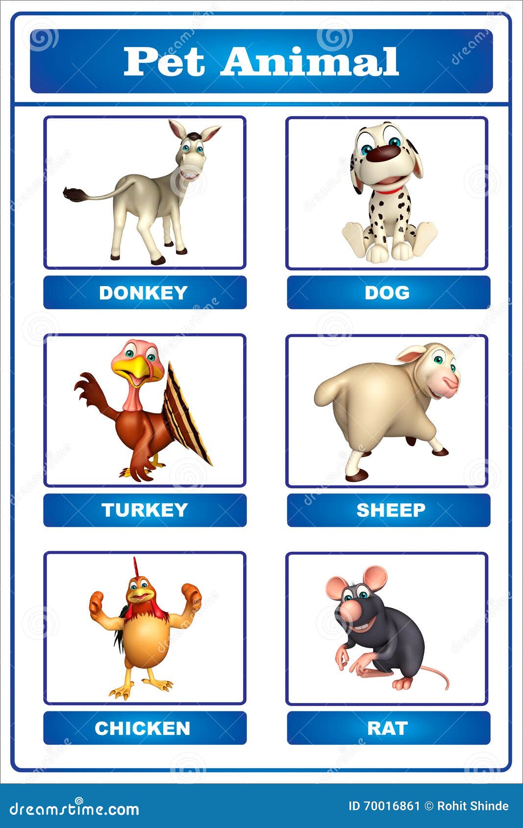 Pet Animal Picture Chart