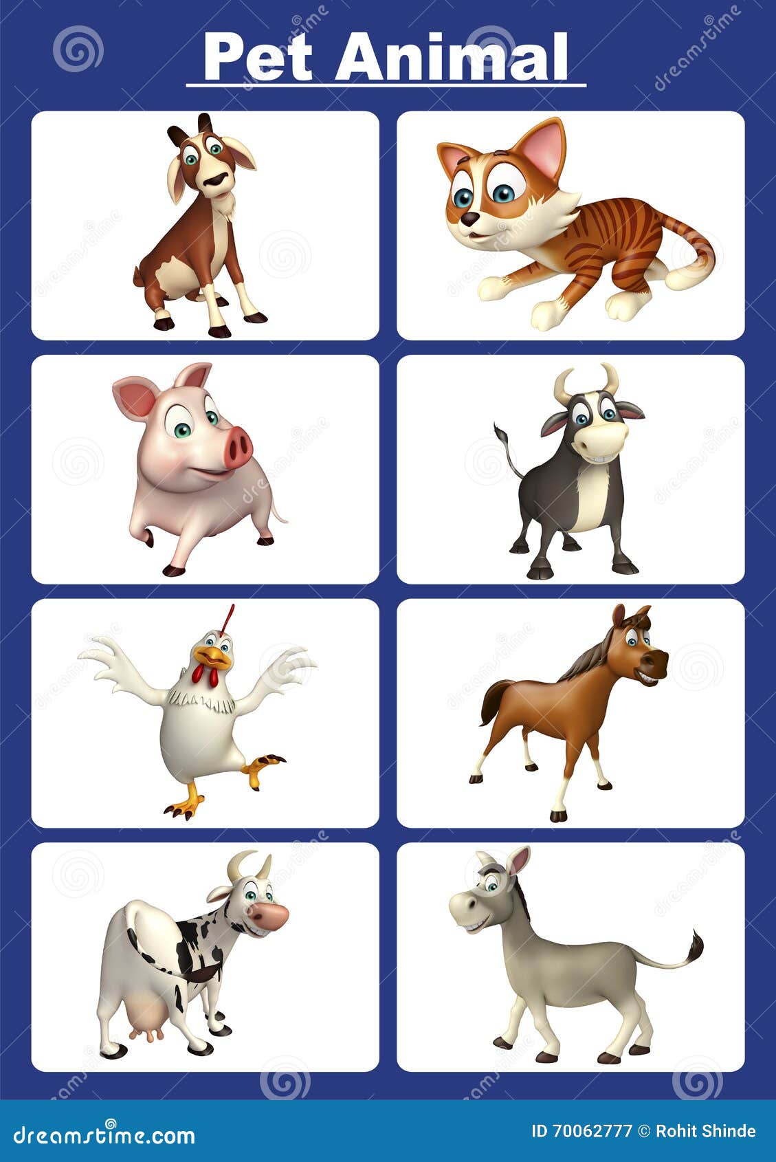 Pet Animals Pictures Chart