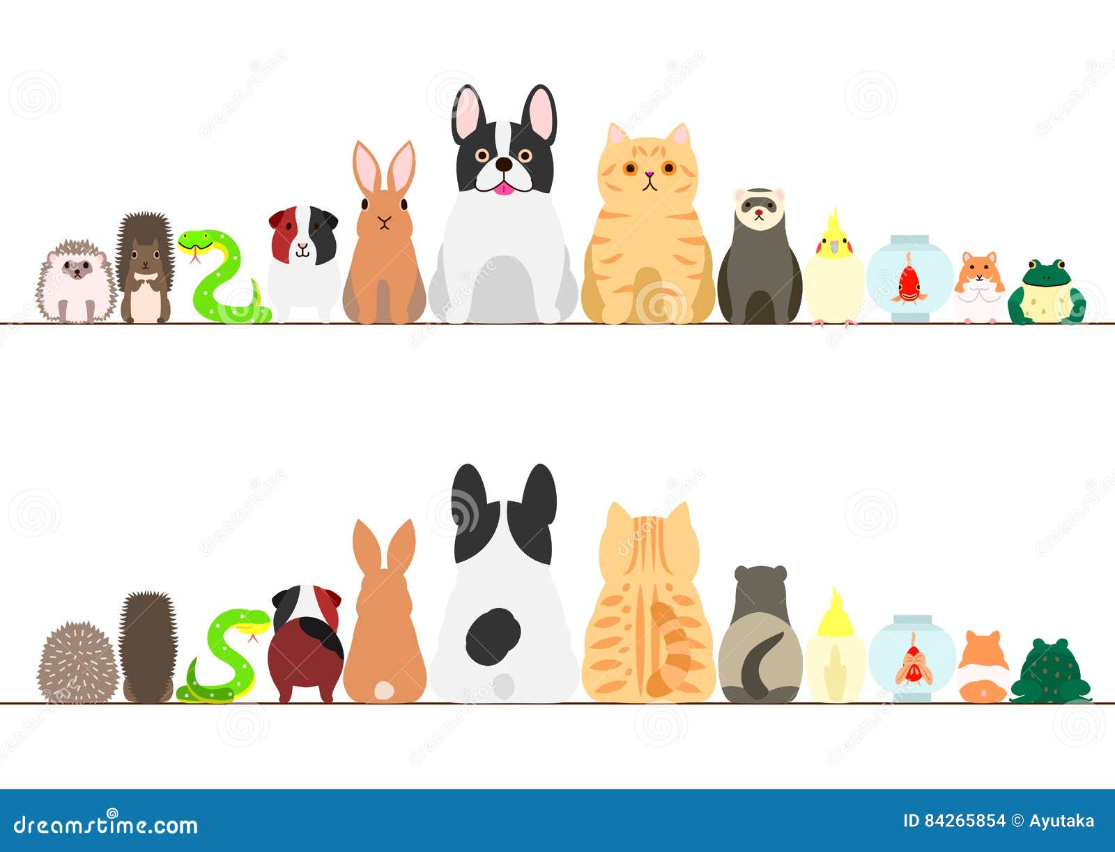 Pet animals border set stock vector. Illustration of cartoon - 84265854