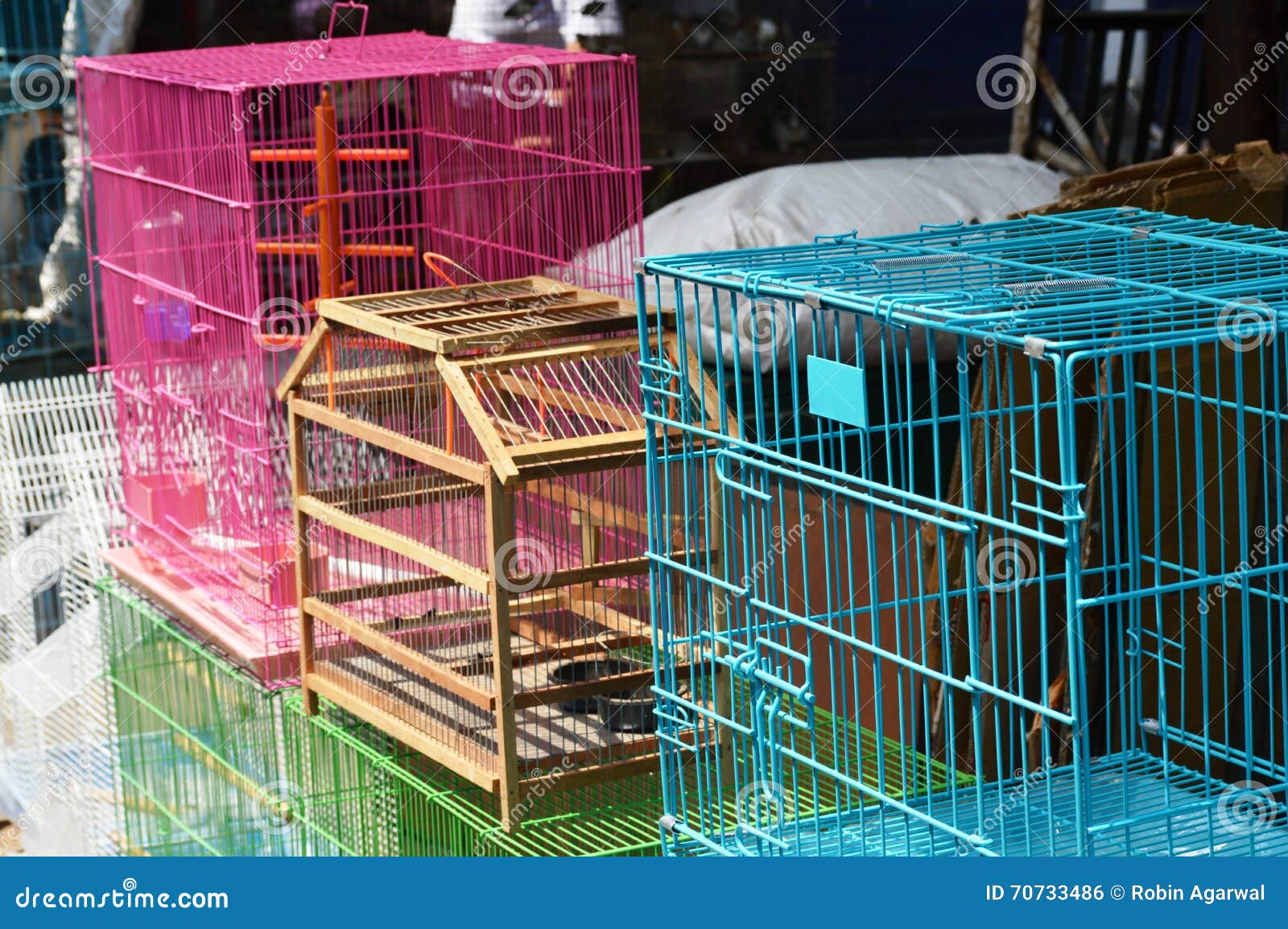 Pet and Bird Cages stock photo. Image of blank, captivity 70733486