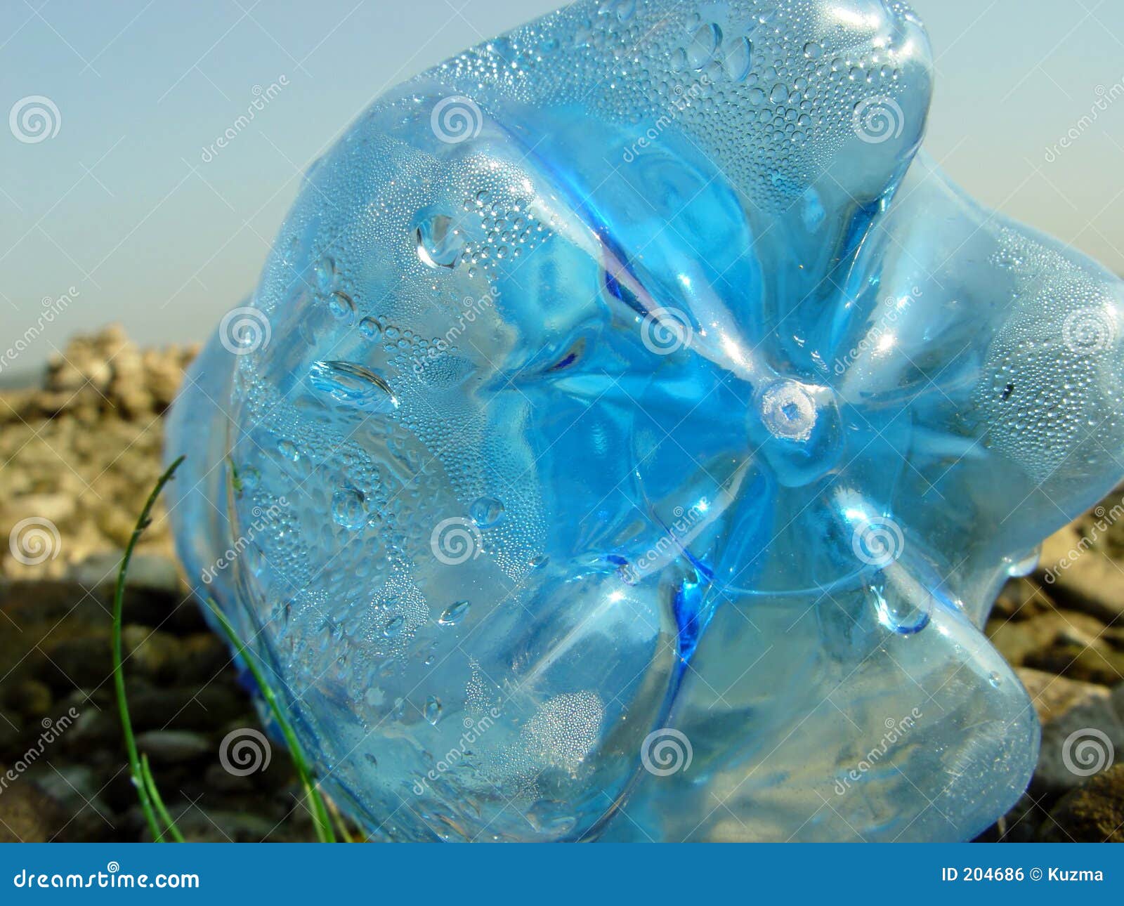PET bottle stock photo. Image of recycled, garbage, flora - 204686