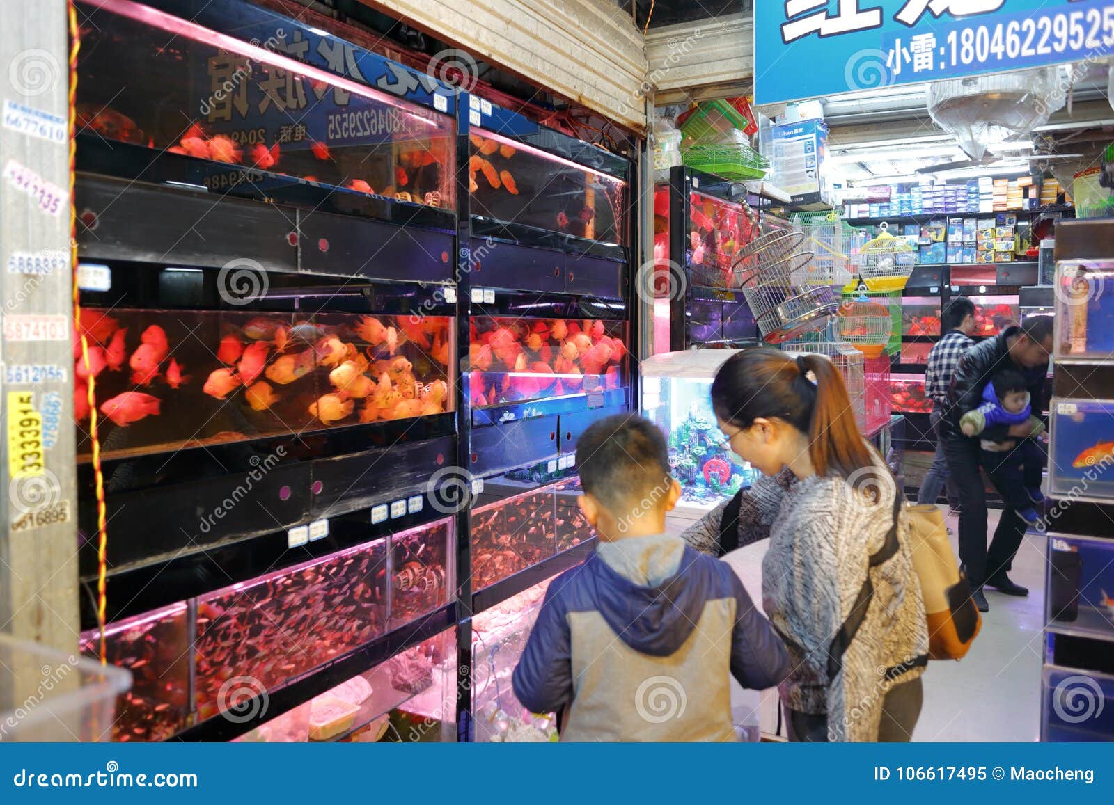 exotic fish store near me